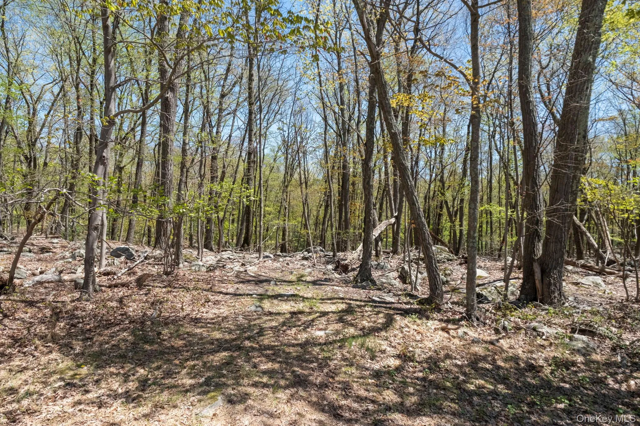 Canal Road, Mamakating, NY, ,Land,For Rent,Canal,0,1001077 Canal Road, Mamakating, NY, ,Land,For Rent,Canal,0,1001077