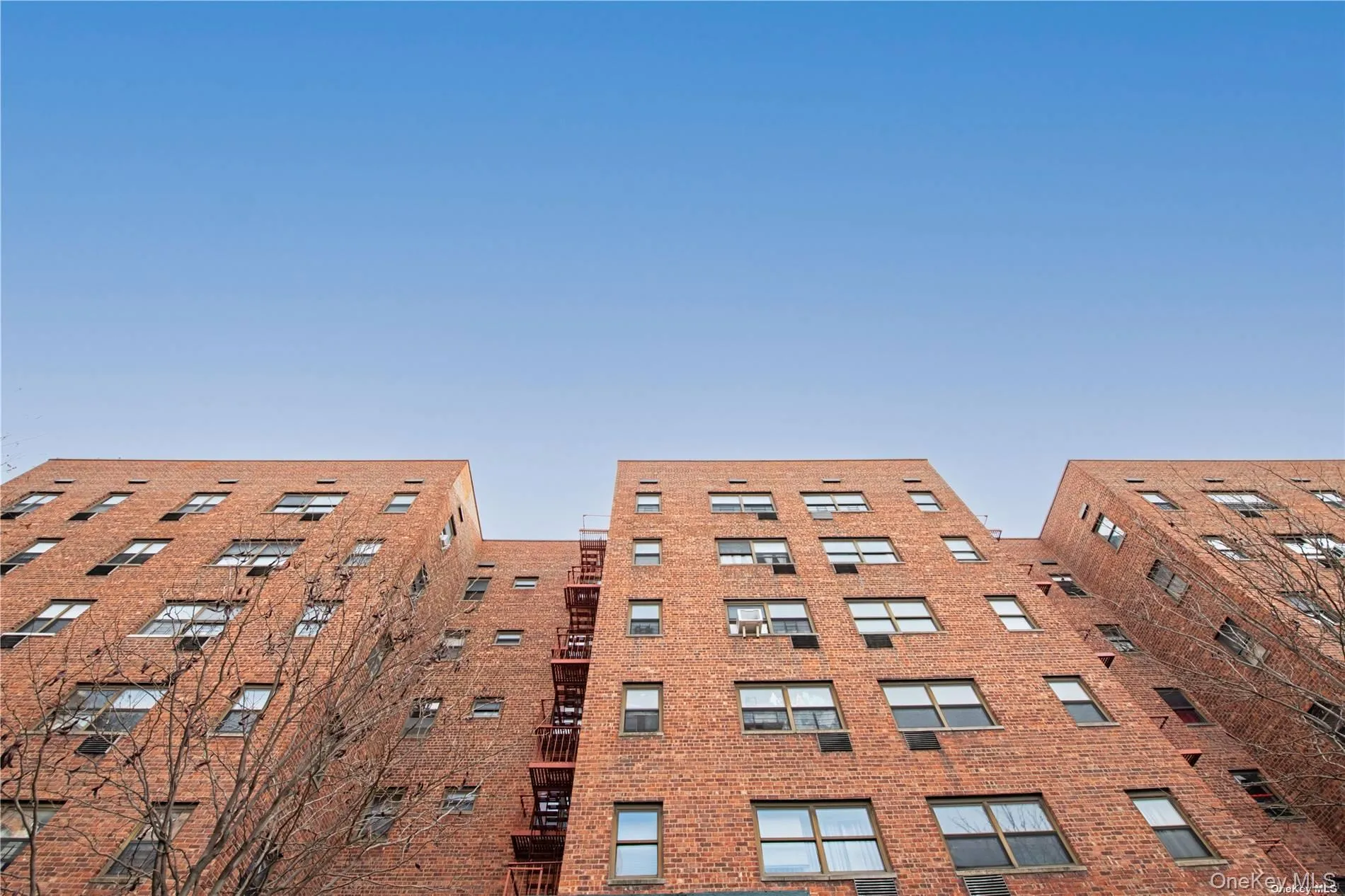 94-30 58 Avenue, New York, NY, 3 Rooms Rooms,1 BathroomBathrooms,Residential Lease,For Rent,58,0,1001080 94-30 58 Avenue, New York, NY, 3 Rooms Rooms,1 BathroomBathrooms,Residential Lease,For Rent,58,0,1001080