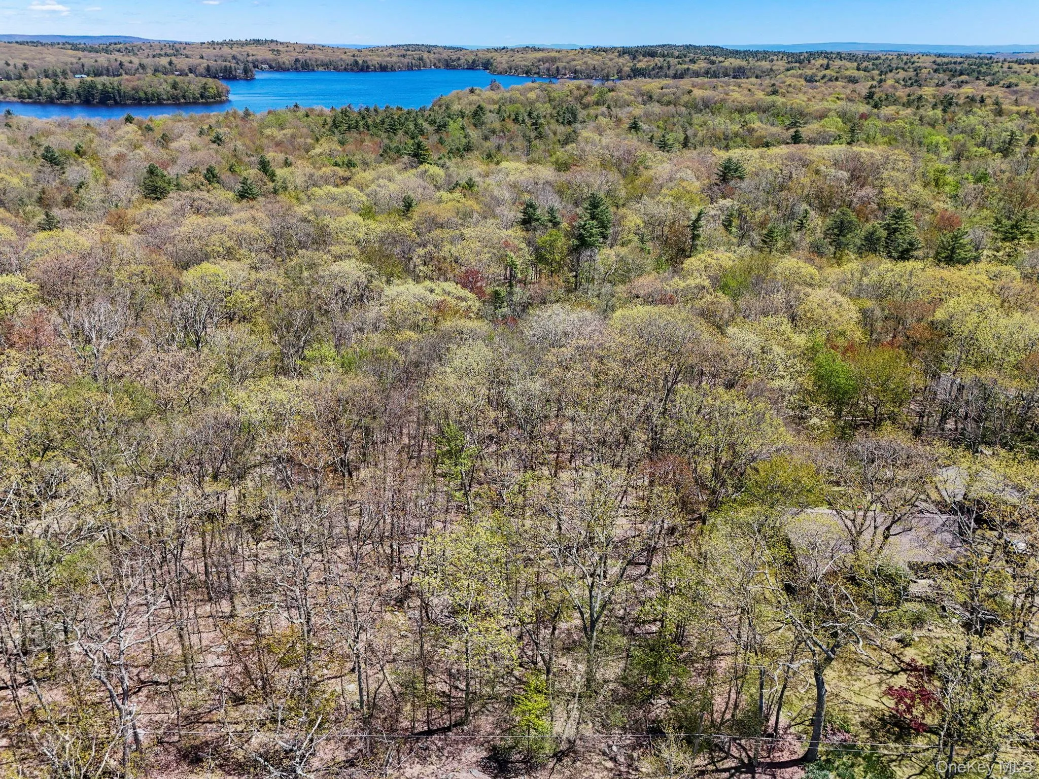 Canal Road, Mamakating, NY, ,Land,For Rent,Canal,0,1001084 Canal Road, Mamakating, NY, ,Land,For Rent,Canal,0,1001084