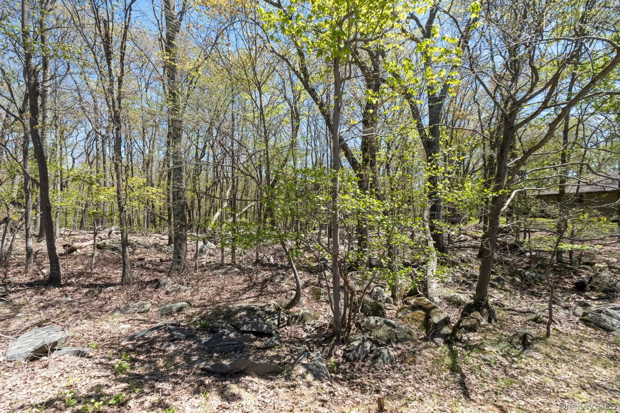 Canal Road, Mamakating, NY, ,Land,For Rent,Canal,0,1001084 Canal Road, Mamakating, NY, ,Land,For Rent,Canal,0,1001084