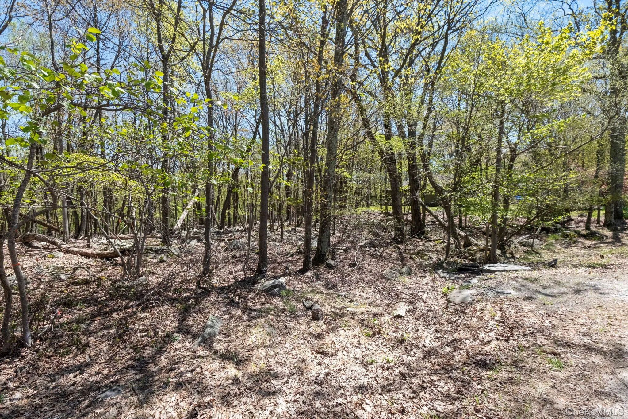 Canal Road, Mamakating, NY, ,Land,For Rent,Canal,0,1001084 Canal Road, Mamakating, NY, ,Land,For Rent,Canal,0,1001084