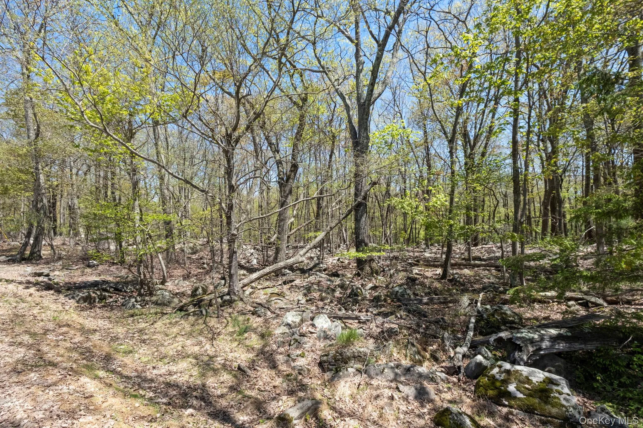 Canal Road, Mamakating, NY, ,Land,For Rent,Canal,0,1001084 Canal Road, Mamakating, NY, ,Land,For Rent,Canal,0,1001084