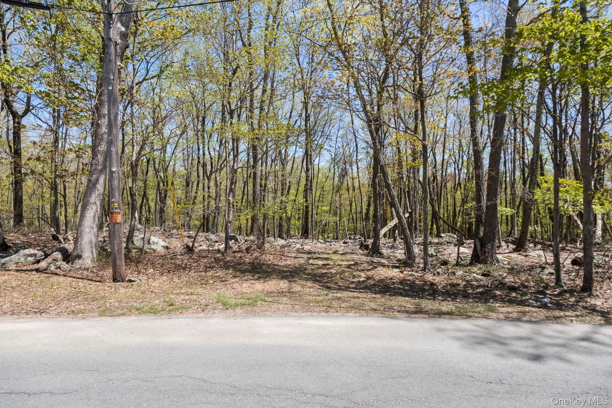 Canal Road, Mamakating, NY, ,Land,For Rent,Canal,0,1001084 Canal Road, Mamakating, NY, ,Land,For Rent,Canal,0,1001084