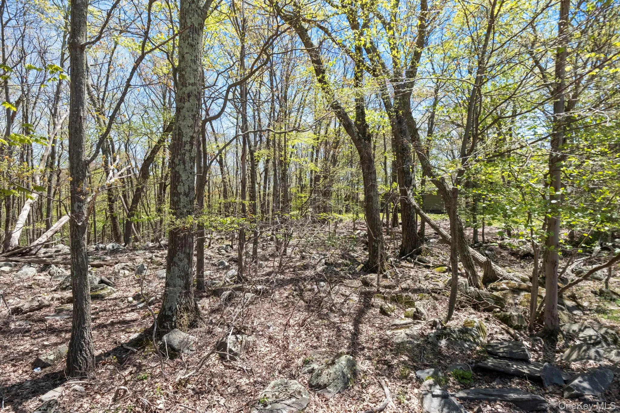 Canal Road, Mamakating, NY, ,Land,For Rent,Canal,0,1001084 Canal Road, Mamakating, NY, ,Land,For Rent,Canal,0,1001084