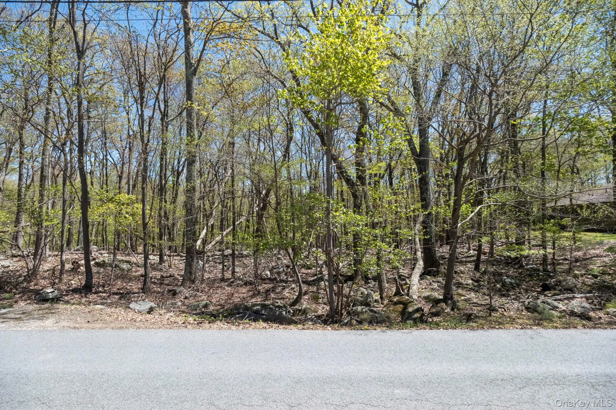 Canal Road, Mamakating, NY, ,Land,For Rent,Canal,0,1001084 Canal Road, Mamakating, NY, ,Land,For Rent,Canal,0,1001084