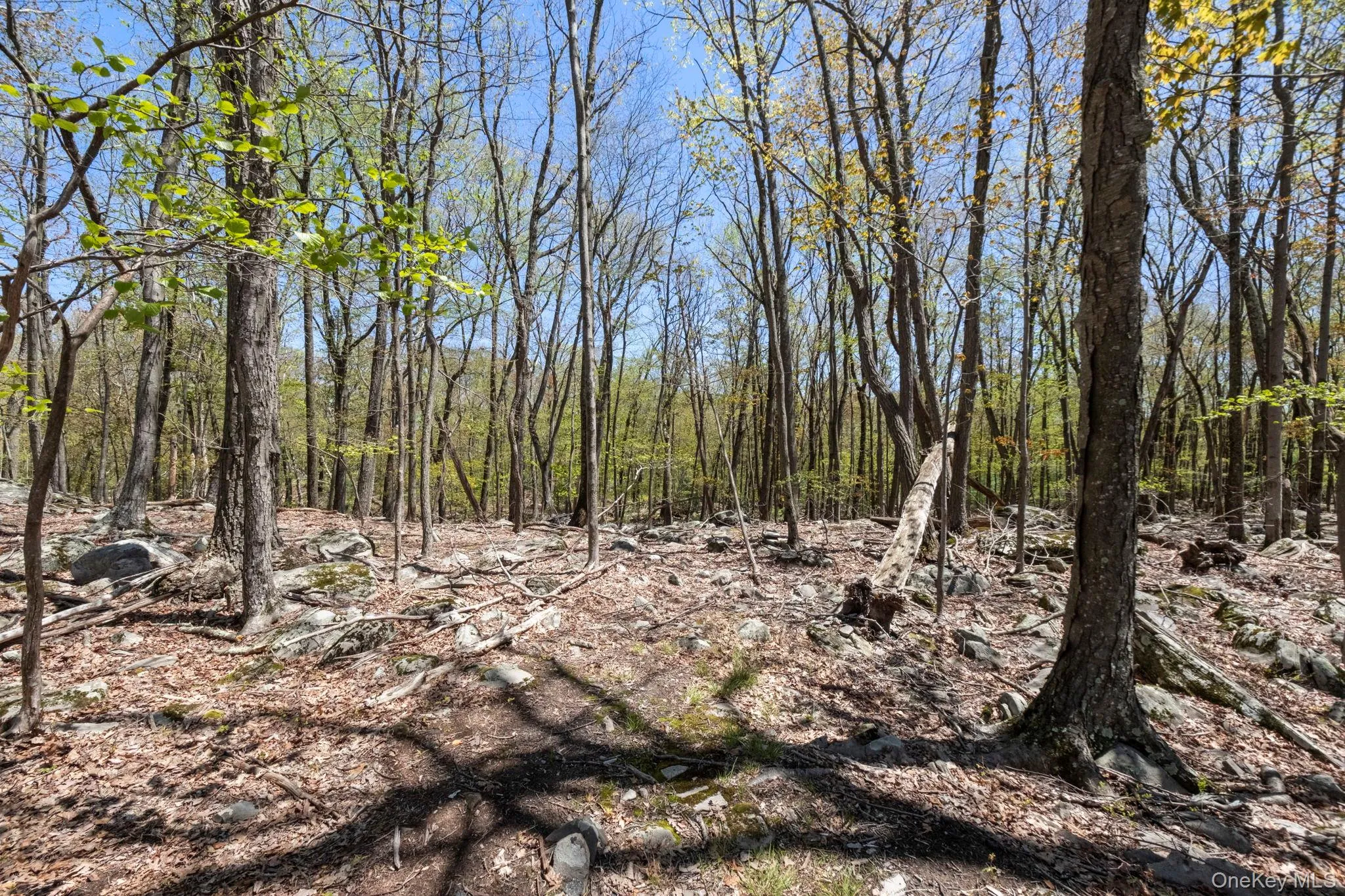 Canal Road, Mamakating, NY, ,Land,For Rent,Canal,0,1001084 Canal Road, Mamakating, NY, ,Land,For Rent,Canal,0,1001084