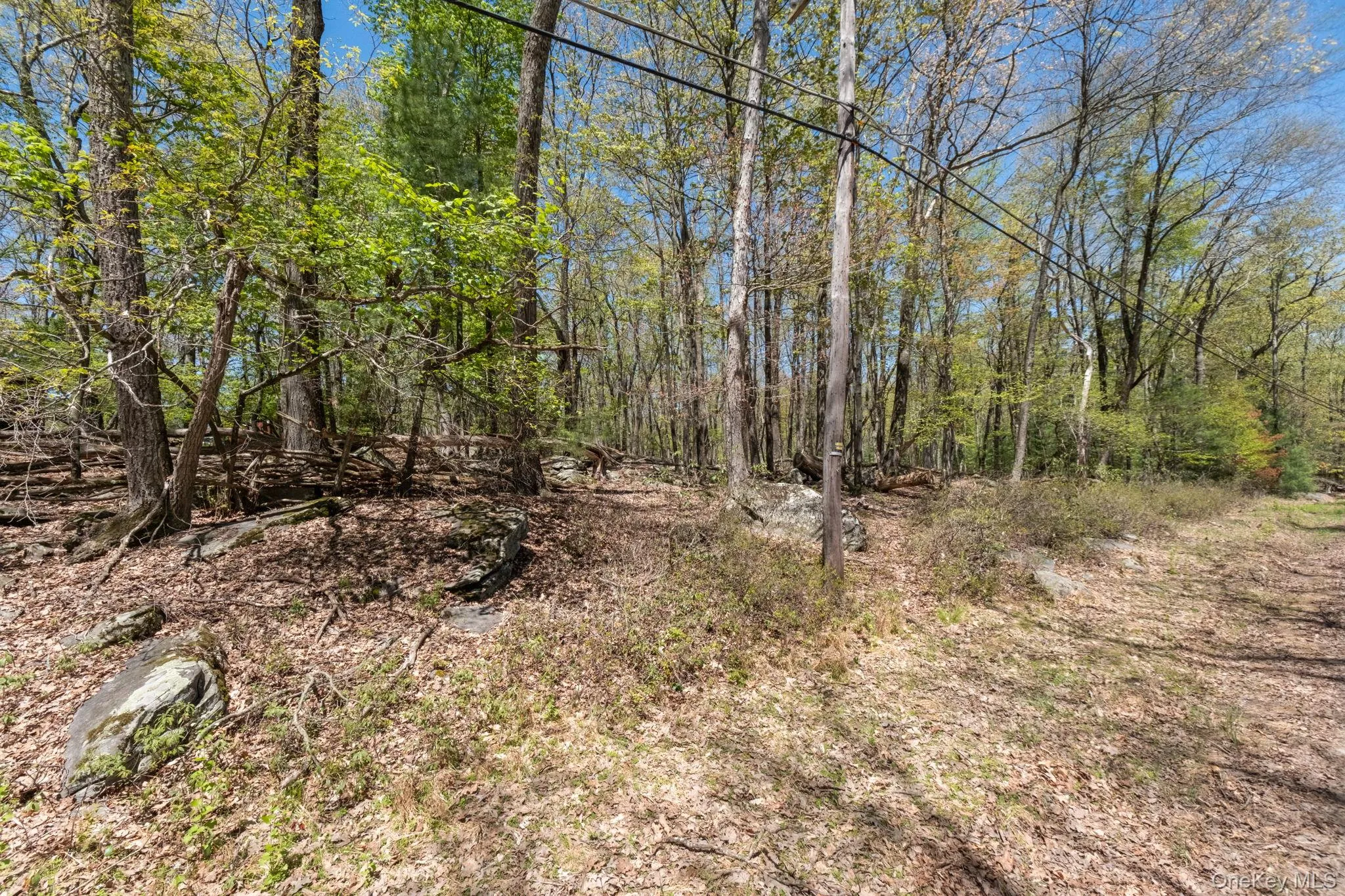 Wolf Pond Road, Mamakating, NY, ,Land,For Rent,Wolf Pond,0,1001089 Wolf Pond Road, Mamakating, NY, ,Land,For Rent,Wolf Pond,0,1001089