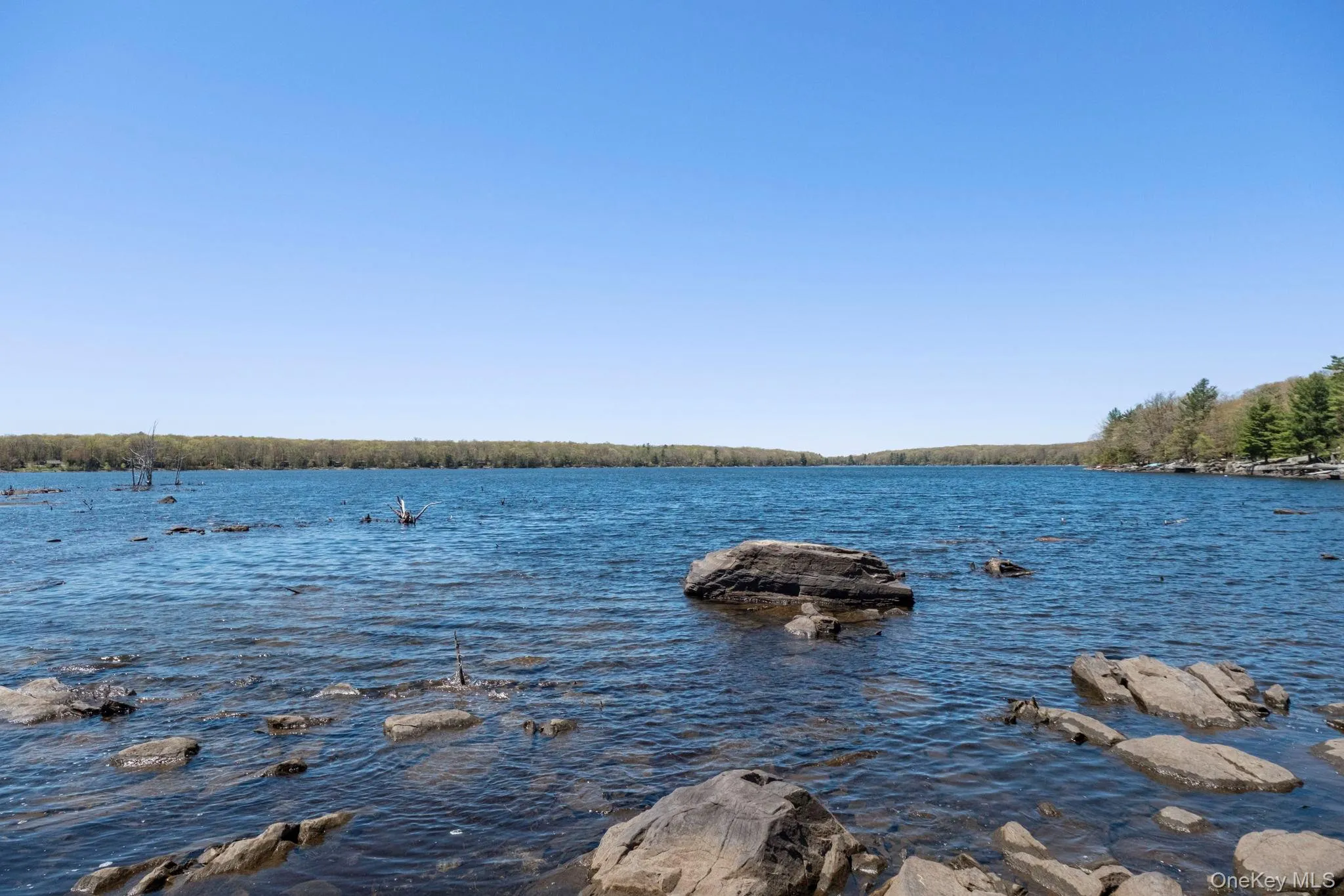 Wolf Pond Road, Mamakating, NY, ,Land,For Rent,Wolf Pond,0,1001089 Wolf Pond Road, Mamakating, NY, ,Land,For Rent,Wolf Pond,0,1001089