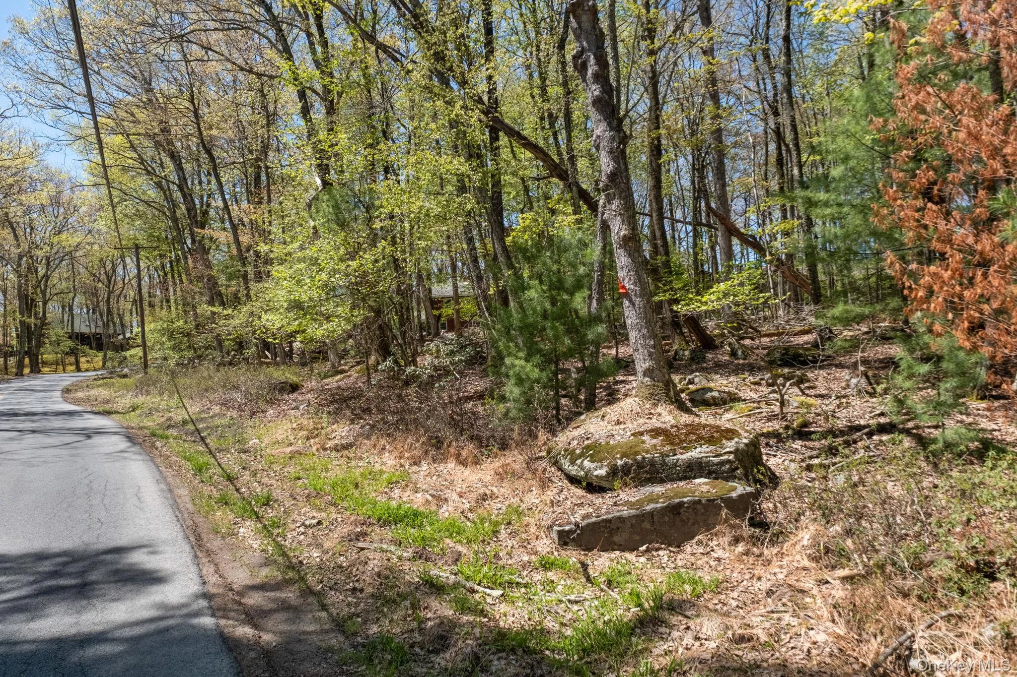 Wolf Pond Road, Mamakating, NY, ,Land,For Rent,Wolf Pond,0,1001089 Wolf Pond Road, Mamakating, NY, ,Land,For Rent,Wolf Pond,0,1001089