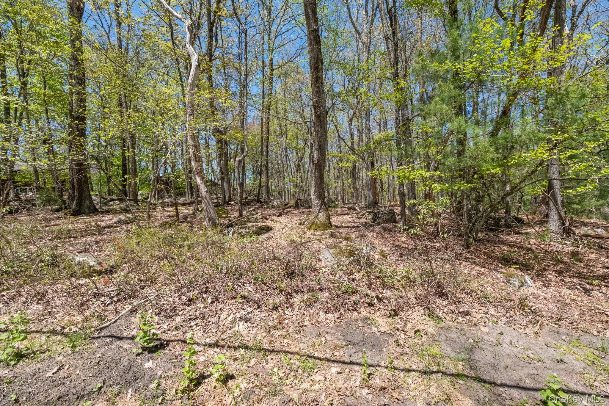 Wolf Pond Road, Mamakating, NY, ,Land,For Rent,Wolf Pond,0,1001089 Wolf Pond Road, Mamakating, NY, ,Land,For Rent,Wolf Pond,0,1001089