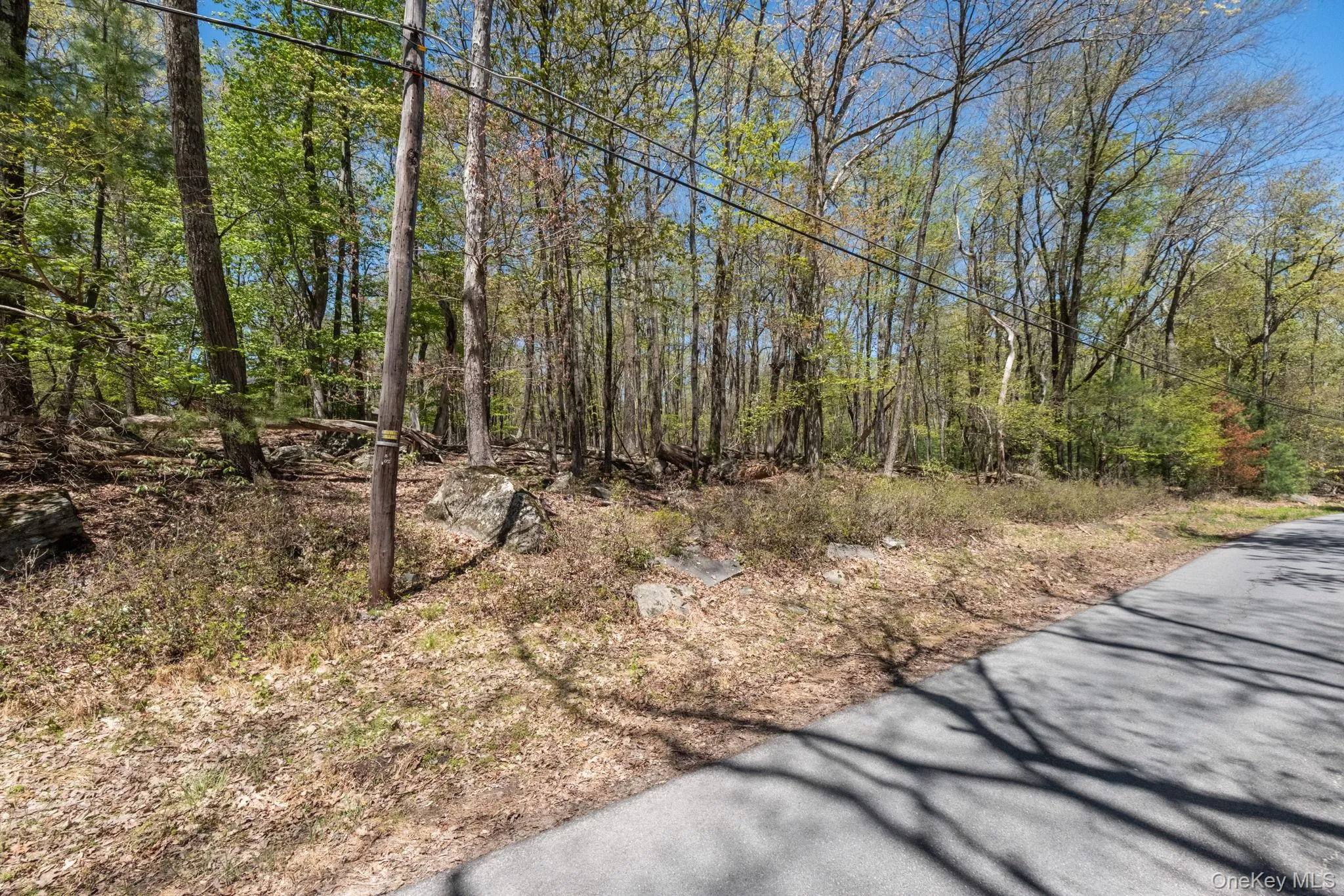 Wolf Pond Road, Mamakating, NY, ,Land,For Rent,Wolf Pond,0,1001089 Wolf Pond Road, Mamakating, NY, ,Land,For Rent,Wolf Pond,0,1001089