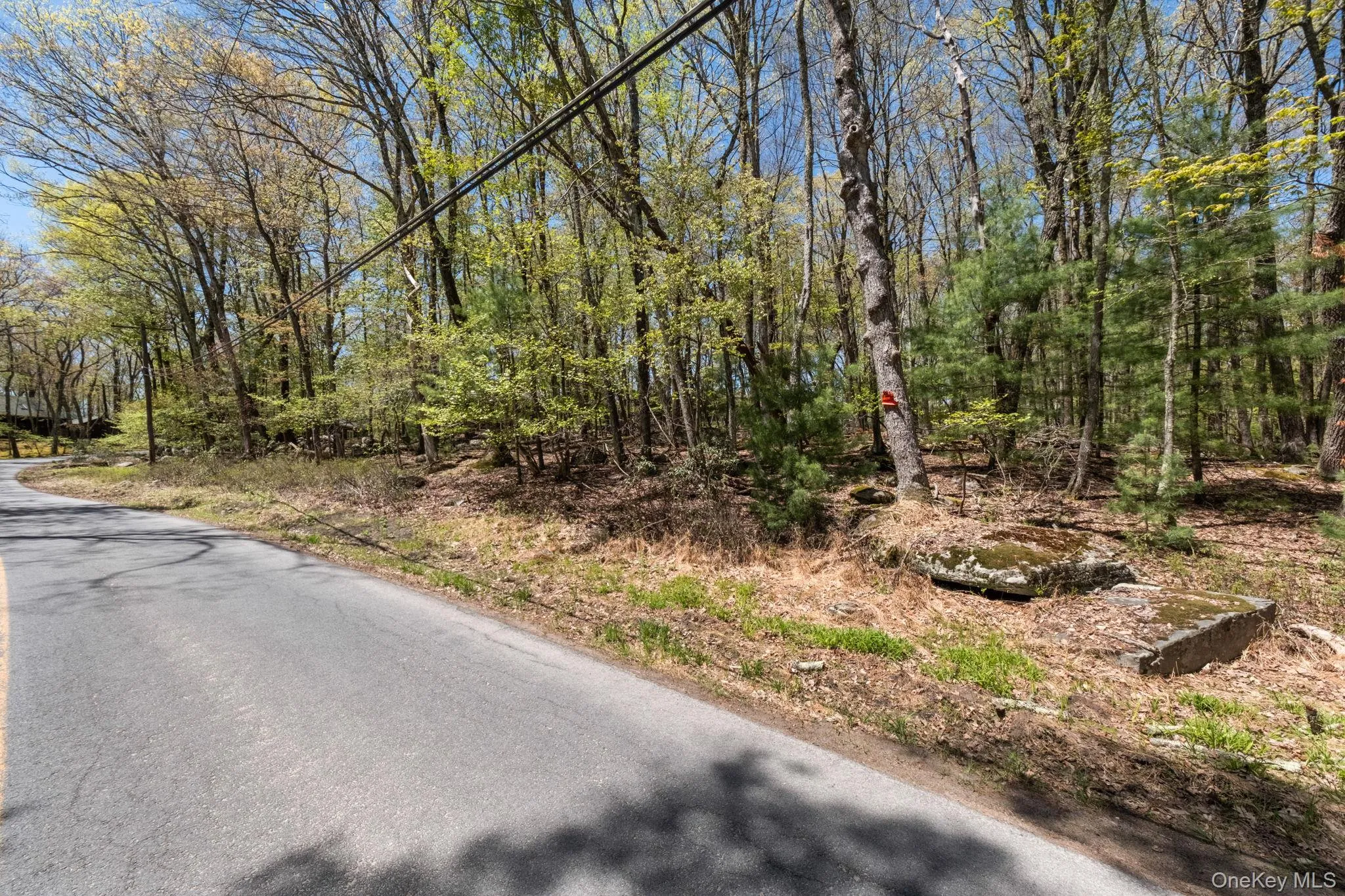 Wolf Pond Road, Mamakating, NY, ,Land,For Rent,Wolf Pond,0,1001089 Wolf Pond Road, Mamakating, NY, ,Land,For Rent,Wolf Pond,0,1001089