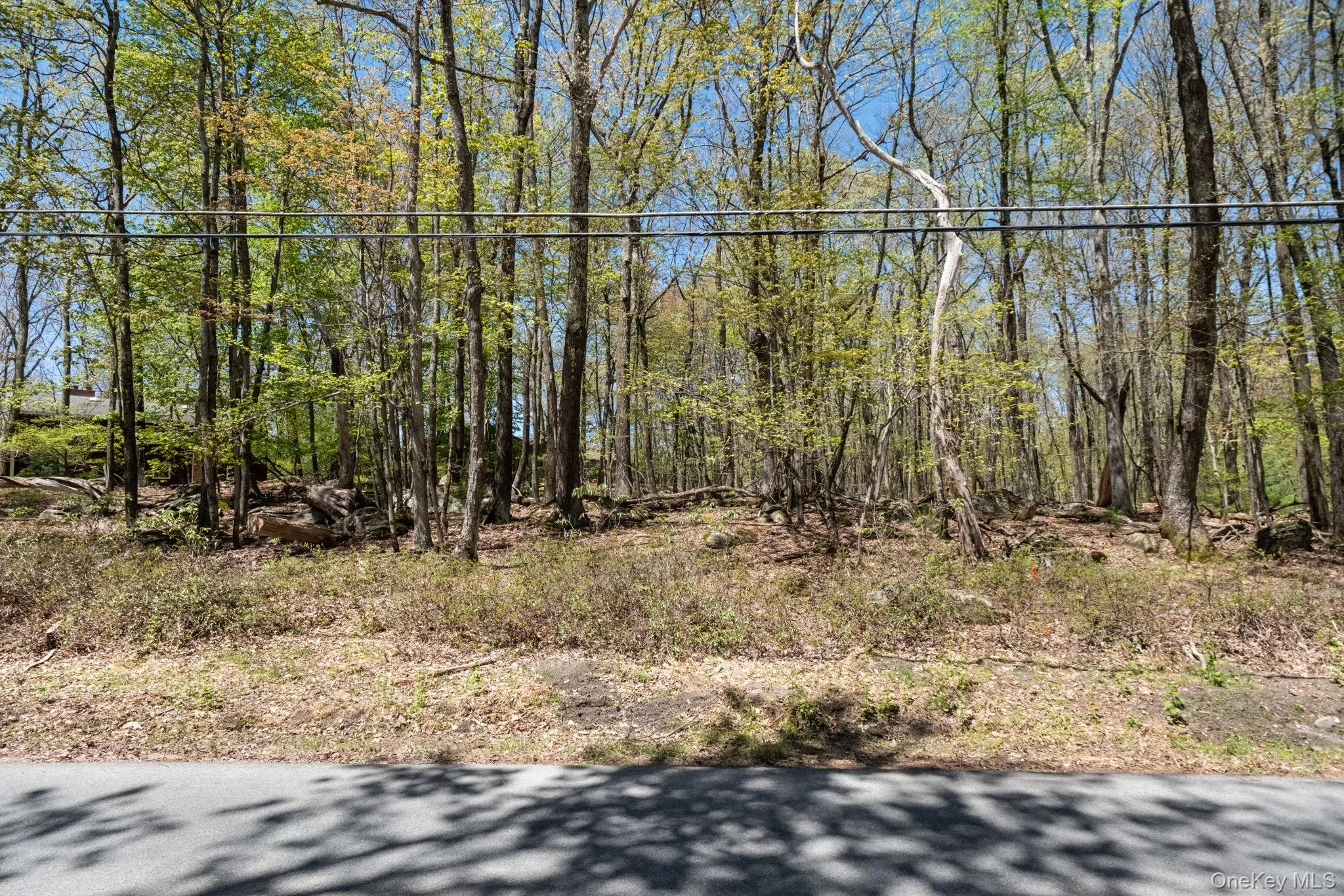 Wolf Pond Road, Mamakating, NY, ,Land,For Rent,Wolf Pond,0,1001089 Wolf Pond Road, Mamakating, NY, ,Land,For Rent,Wolf Pond,0,1001089