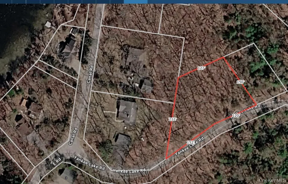 Wolf Pond Road, Mamakating, NY, ,Land,For Rent,Wolf Pond,0,1001089 Wolf Pond Road, Mamakating, NY, ,Land,For Rent,Wolf Pond,0,1001089