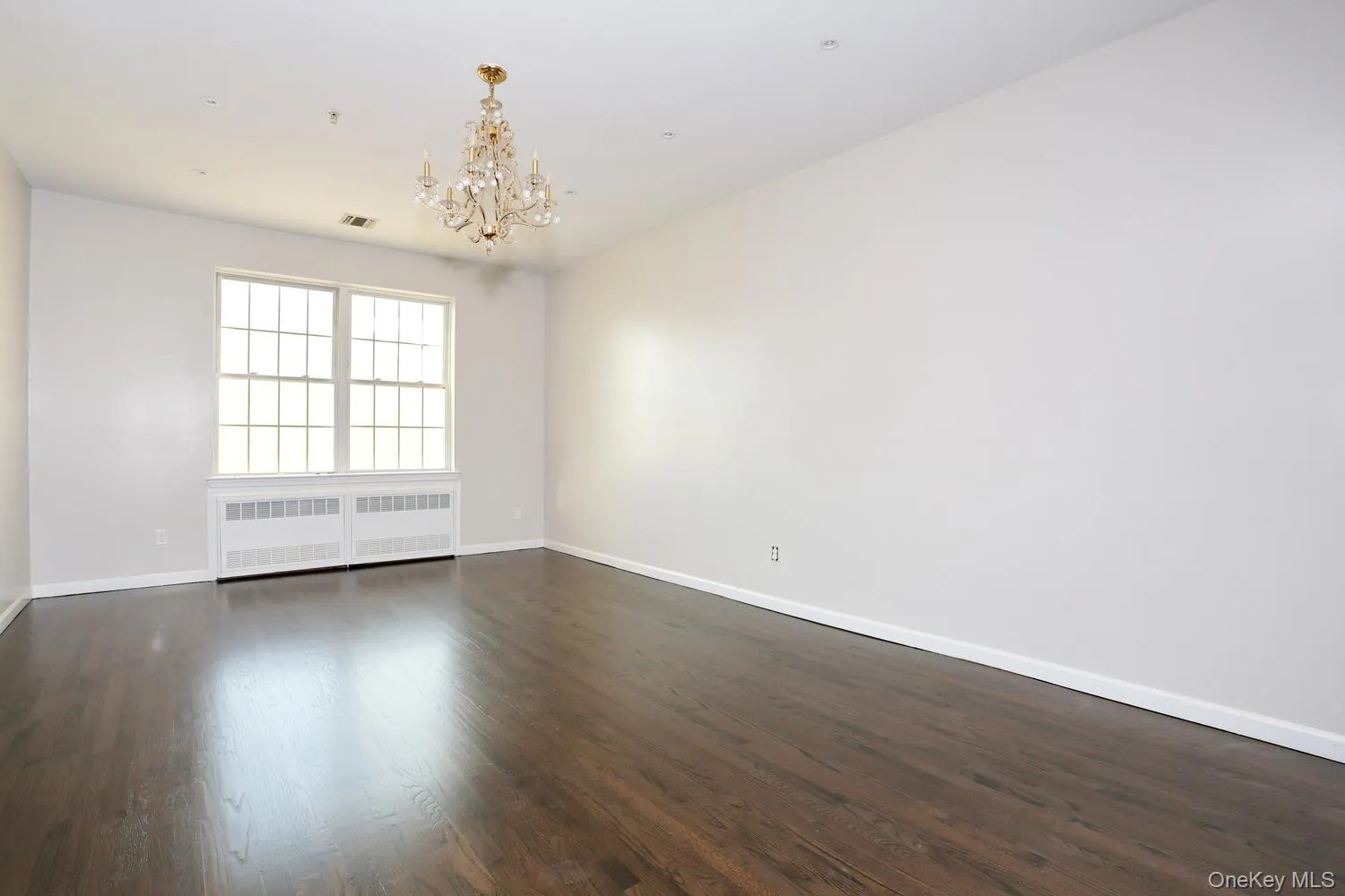 Spacious Dining Room featuring dark wood-finish flooring, white baseboards, and a large grid window allowing for natural illumination Spacious Dining Room featuring dark wood-finish flooring, white baseboards, and a large grid window allowing for natural illumination