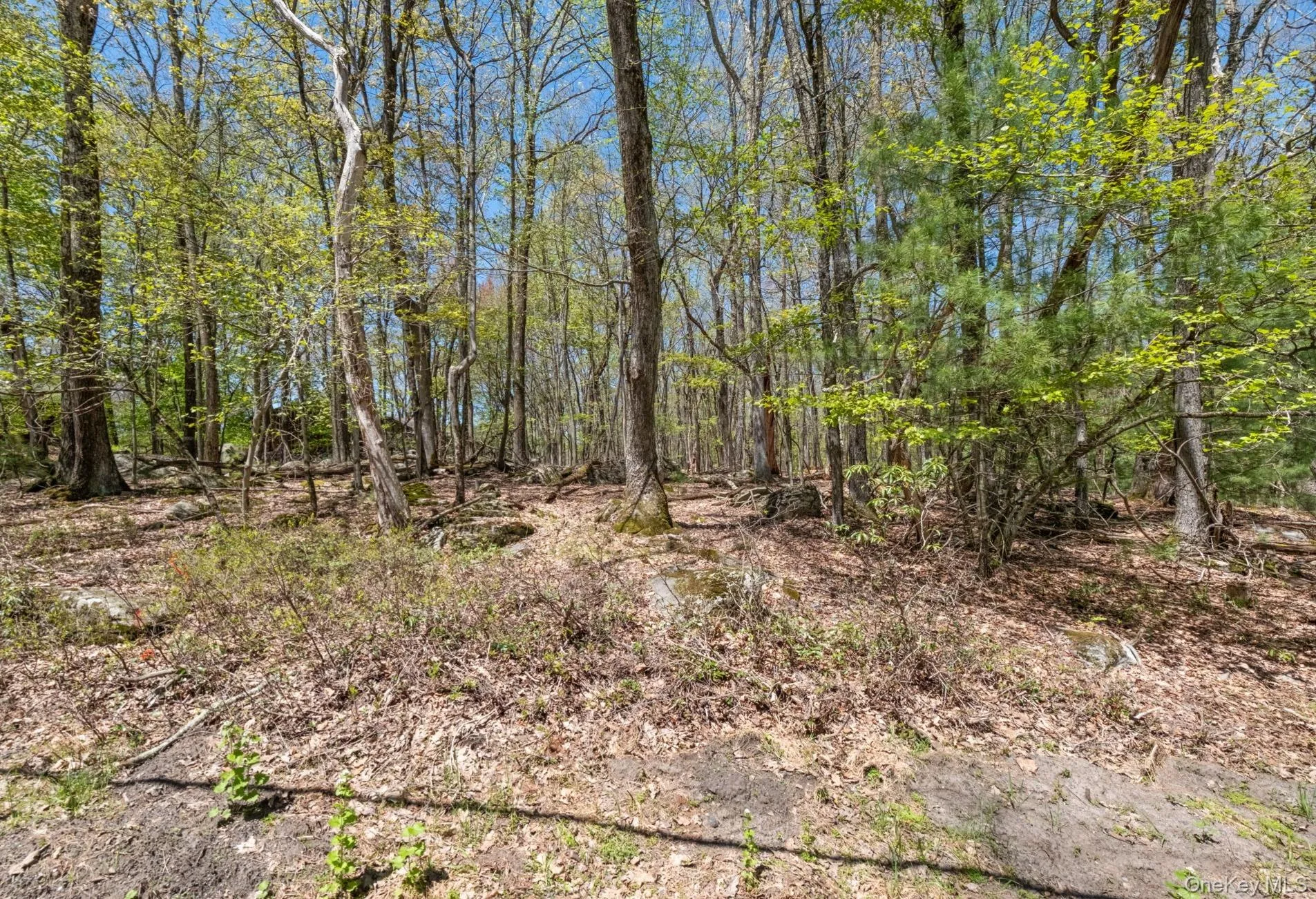 Canal Road, Thompson, NY, ,Land,For Rent,Canal,0,1001092 Canal Road, Thompson, NY, ,Land,For Rent,Canal,0,1001092