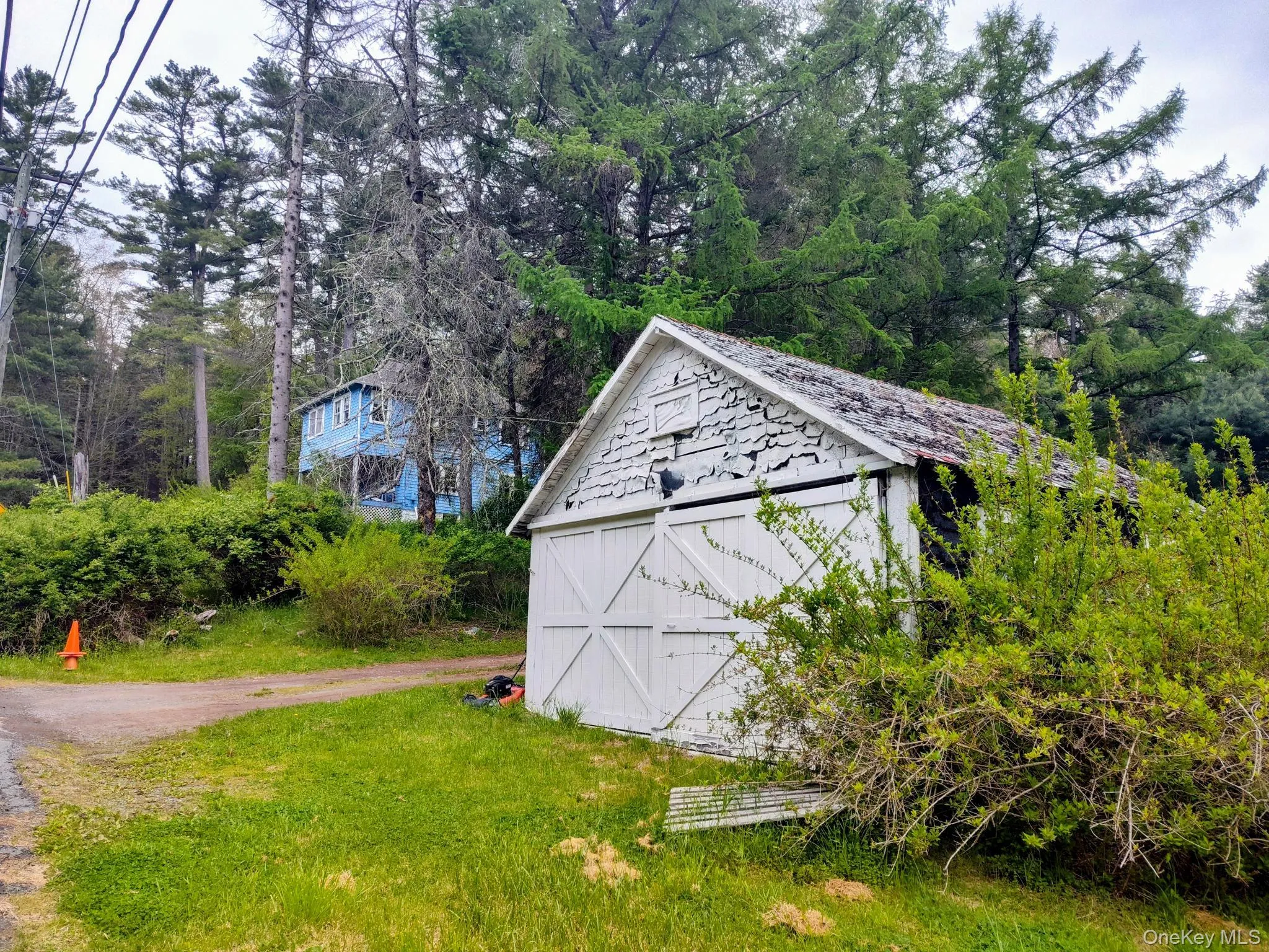 White outbuilding with a barn-style door, set against a backdrop of mature trees and natural landscaping White outbuilding with a barn-style door, set against a backdrop of mature trees and natural landscaping