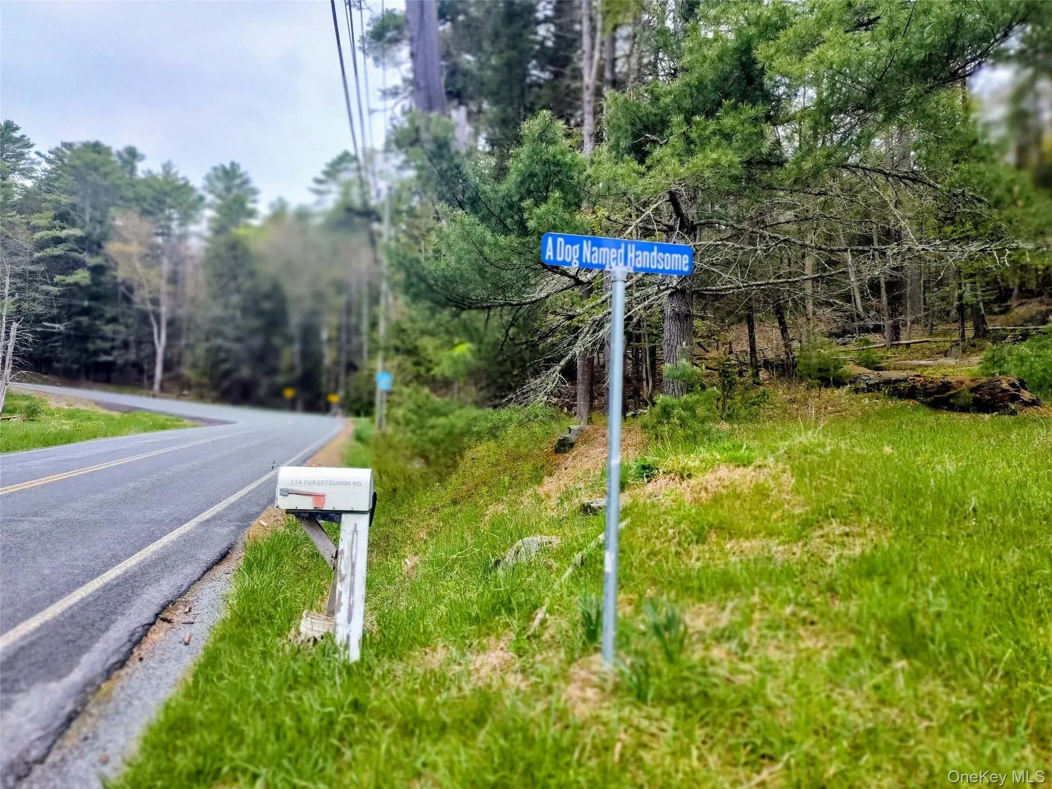 174 Forestburgh Road, Forestburgh, NY, 4 Bedrooms Bedrooms, 6 Rooms Rooms,1 BathroomBathrooms,Residential Sale,For Rent,Forestburgh,0,1001106 174 Forestburgh Road, Forestburgh, NY, 4 Bedrooms Bedrooms, 6 Rooms Rooms,1 BathroomBathrooms,Residential Sale,For Rent,Forestburgh,0,1001106