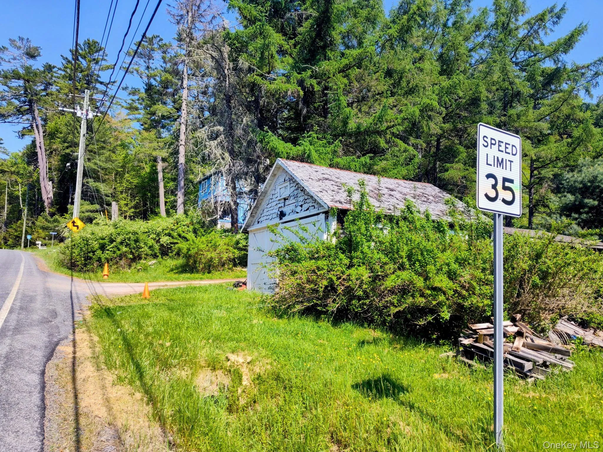 Wooded lot with mature trees and a gravel driveway Wooded lot with mature trees and a gravel driveway