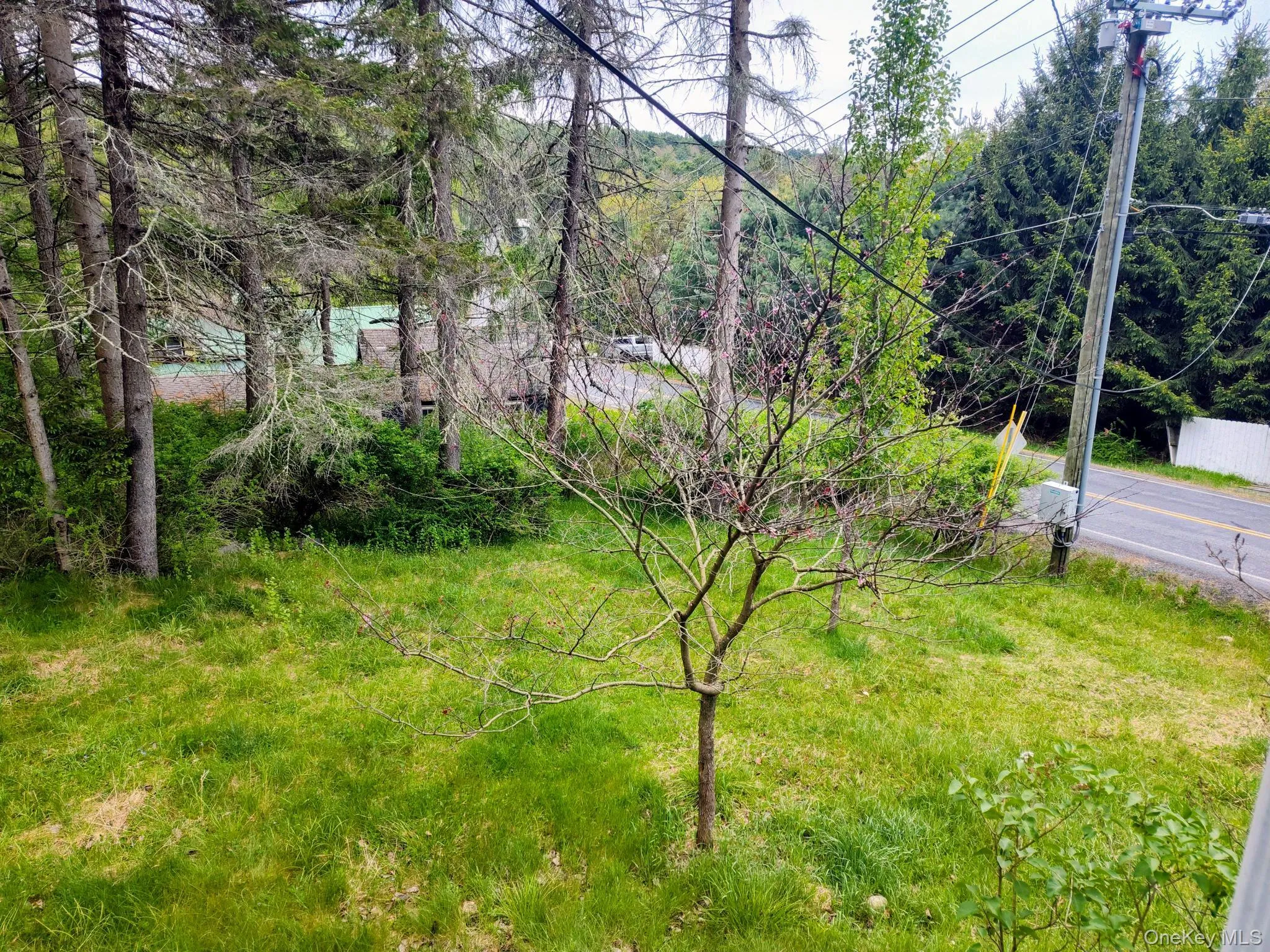 view from porch, front yard view from porch, front yard