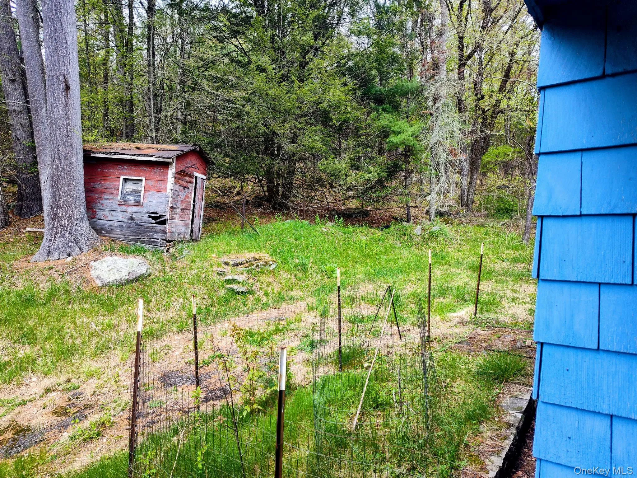Wooded surroundings featuring a rustic shed Wooded surroundings featuring a rustic shed