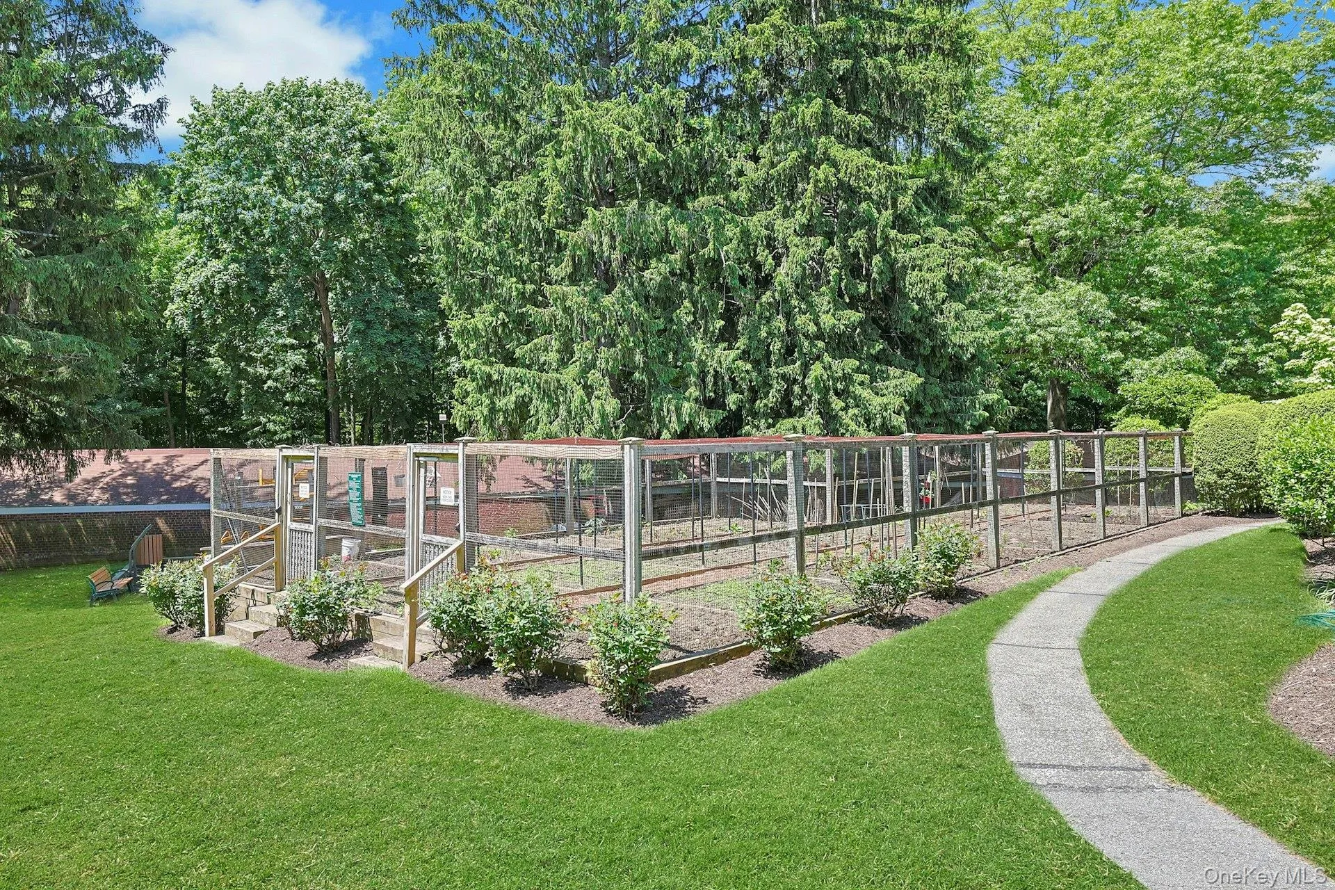 How Does Your Garden Grow? How Does Your Garden Grow?