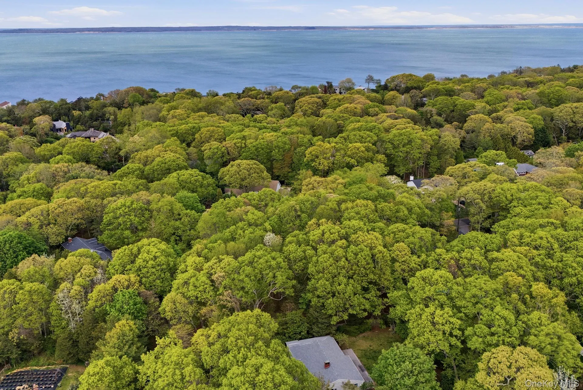 29 Sheepfold Lane, East Hampton, NY, ,Land,For Rent,Sheepfold,0,1001129 29 Sheepfold Lane, East Hampton, NY, ,Land,For Rent,Sheepfold,0,1001129