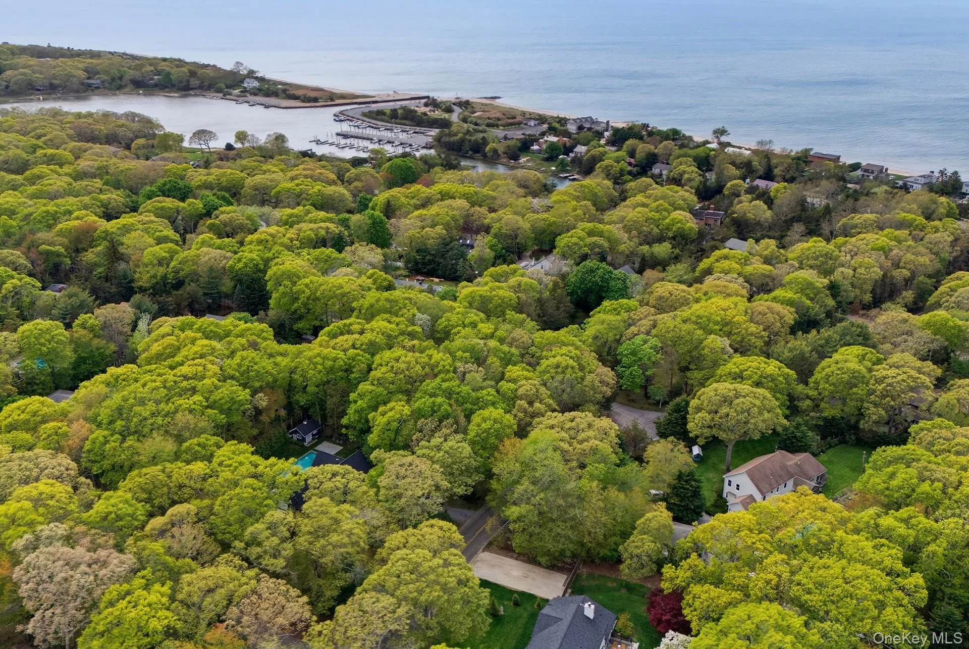 29 Sheepfold Lane, East Hampton, NY, ,Land,For Rent,Sheepfold,0,1001129 29 Sheepfold Lane, East Hampton, NY, ,Land,For Rent,Sheepfold,0,1001129