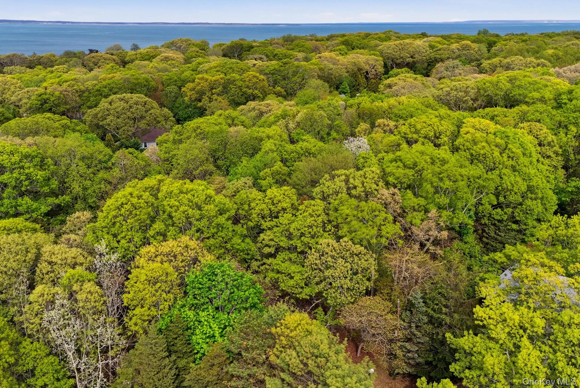 29 Sheepfold Lane, East Hampton, NY, ,Land,For Rent,Sheepfold,0,1001129 29 Sheepfold Lane, East Hampton, NY, ,Land,For Rent,Sheepfold,0,1001129