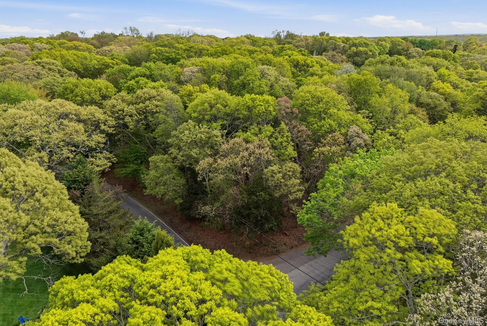29 Sheepfold Lane, East Hampton, NY, ,Land,For Rent,Sheepfold,0,1001129 29 Sheepfold Lane, East Hampton, NY, ,Land,For Rent,Sheepfold,0,1001129