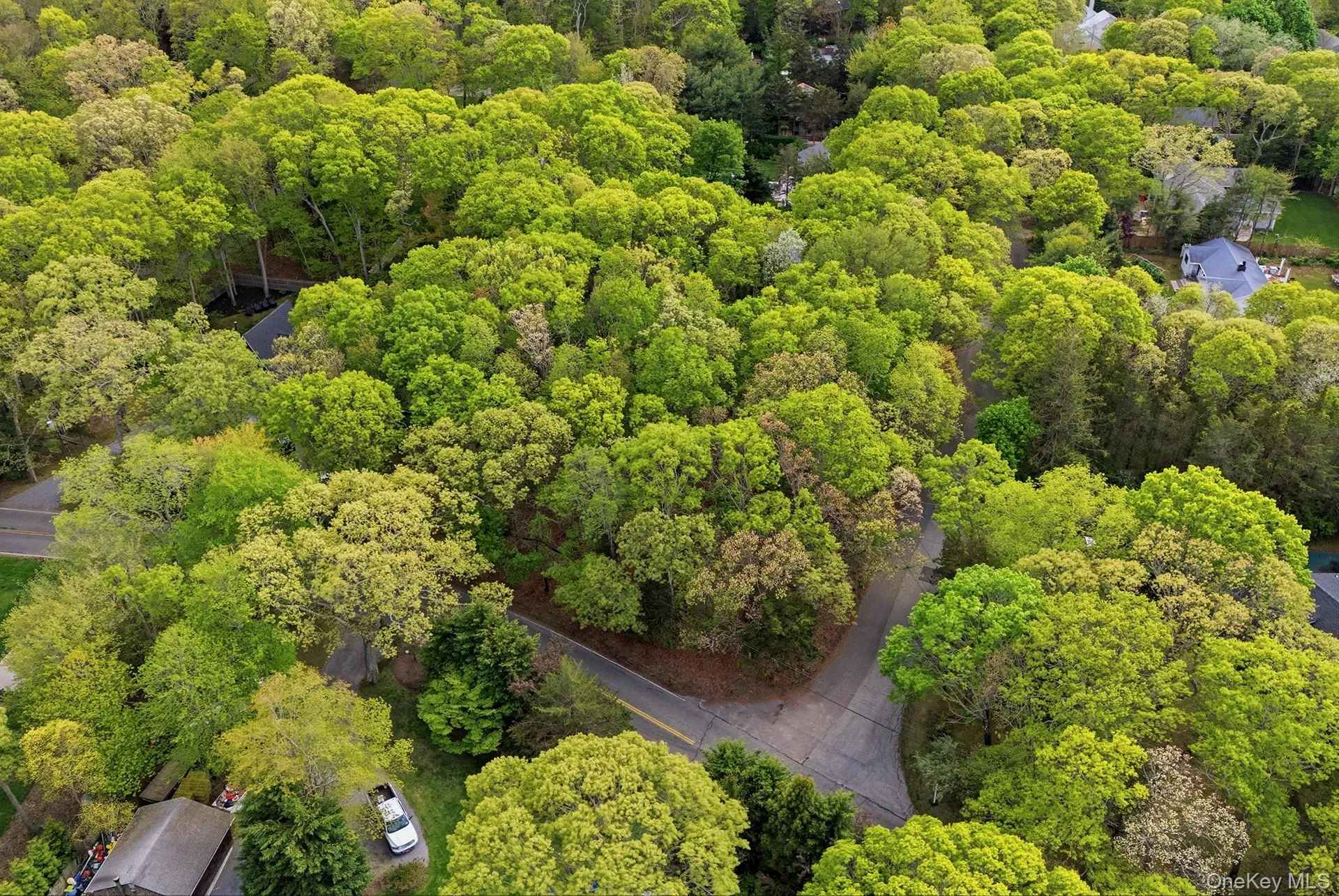 29 Sheepfold Lane, East Hampton, NY, ,Land,For Rent,Sheepfold,0,1001129 29 Sheepfold Lane, East Hampton, NY, ,Land,For Rent,Sheepfold,0,1001129