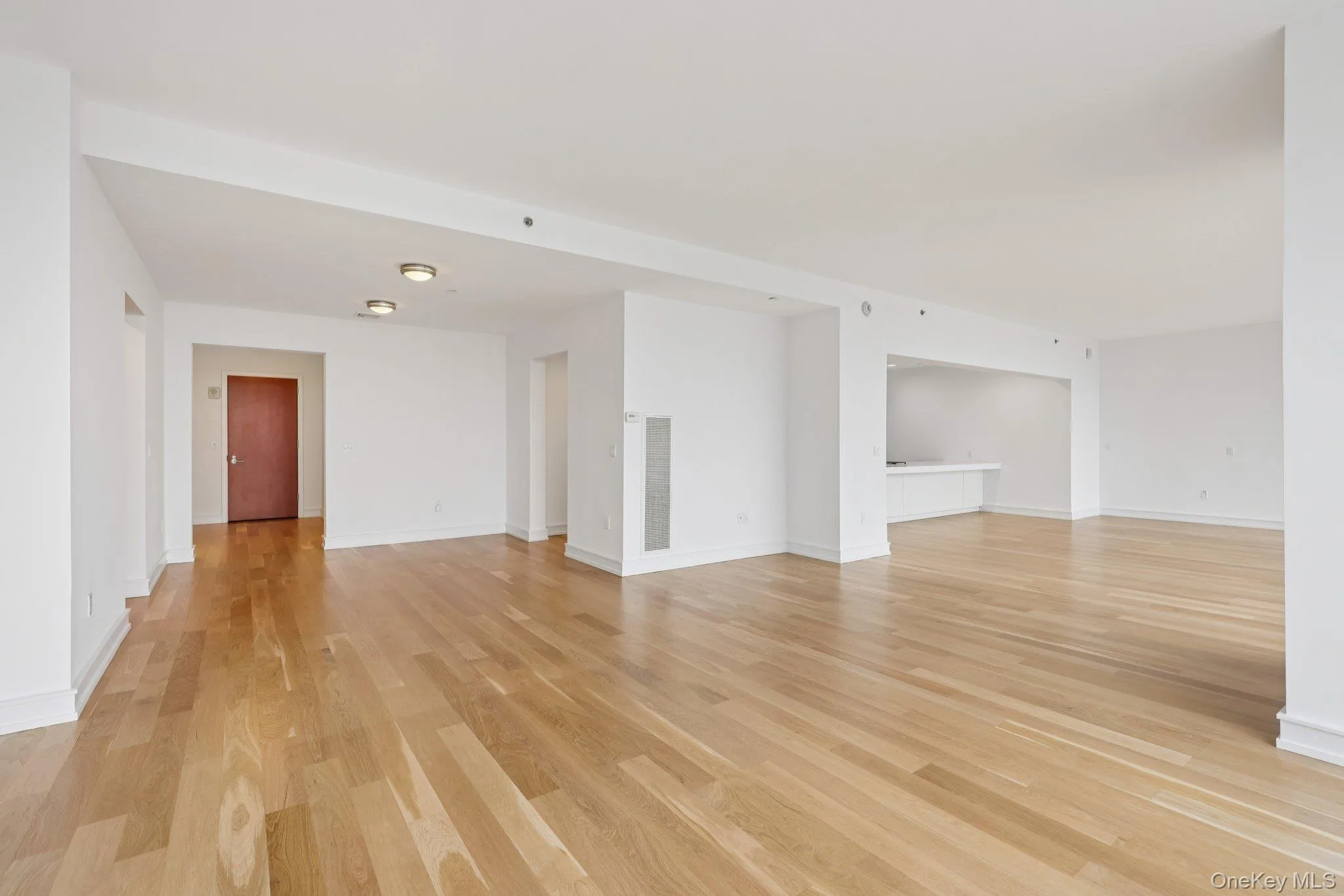 Unfurnished living room with light wood-style floors and baseboards Unfurnished living room with light wood-style floors and baseboards