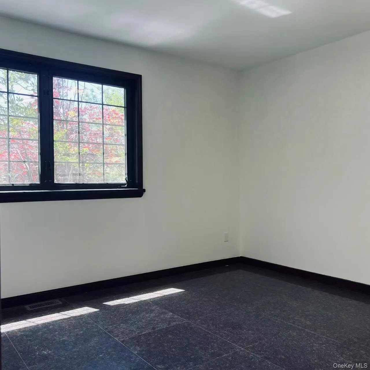 6339 136th Street, New York, NY, 3 Bedrooms Bedrooms, 4 Rooms Rooms,2 BathroomsBathrooms,Residential Lease,For Rent,136th,0,1001151 6339 136th Street, New York, NY, 3 Bedrooms Bedrooms, 4 Rooms Rooms,2 BathroomsBathrooms,Residential Lease,For Rent,136th,0,1001151
