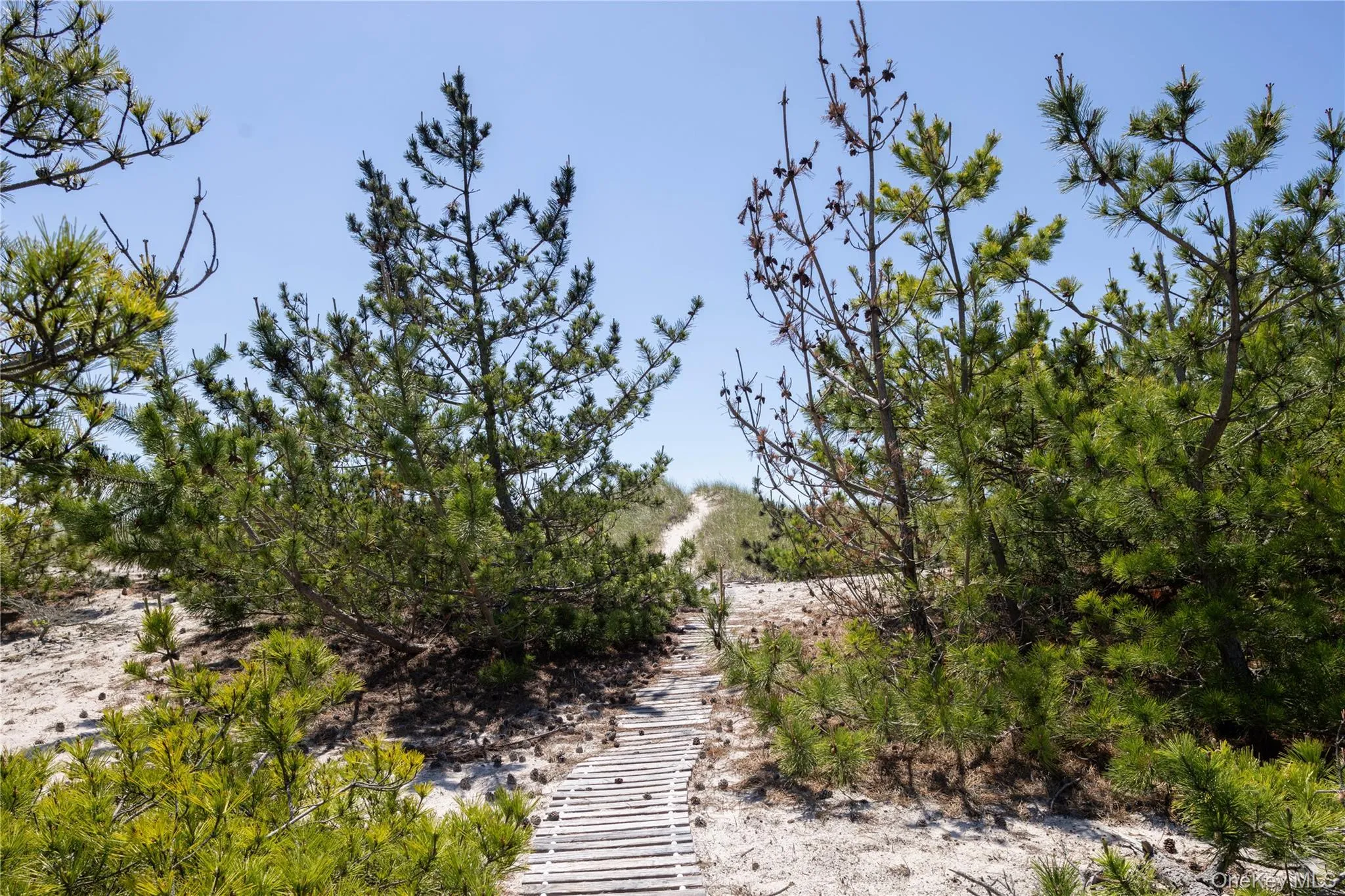 398 Dune Road, Southampton, NY, 3 Bedrooms Bedrooms, 9 Rooms Rooms,3 BathroomsBathrooms,Residential,For Rent,Dune,0,1001157 398 Dune Road, Southampton, NY, 3 Bedrooms Bedrooms, 9 Rooms Rooms,3 BathroomsBathrooms,Residential,For Rent,Dune,0,1001157