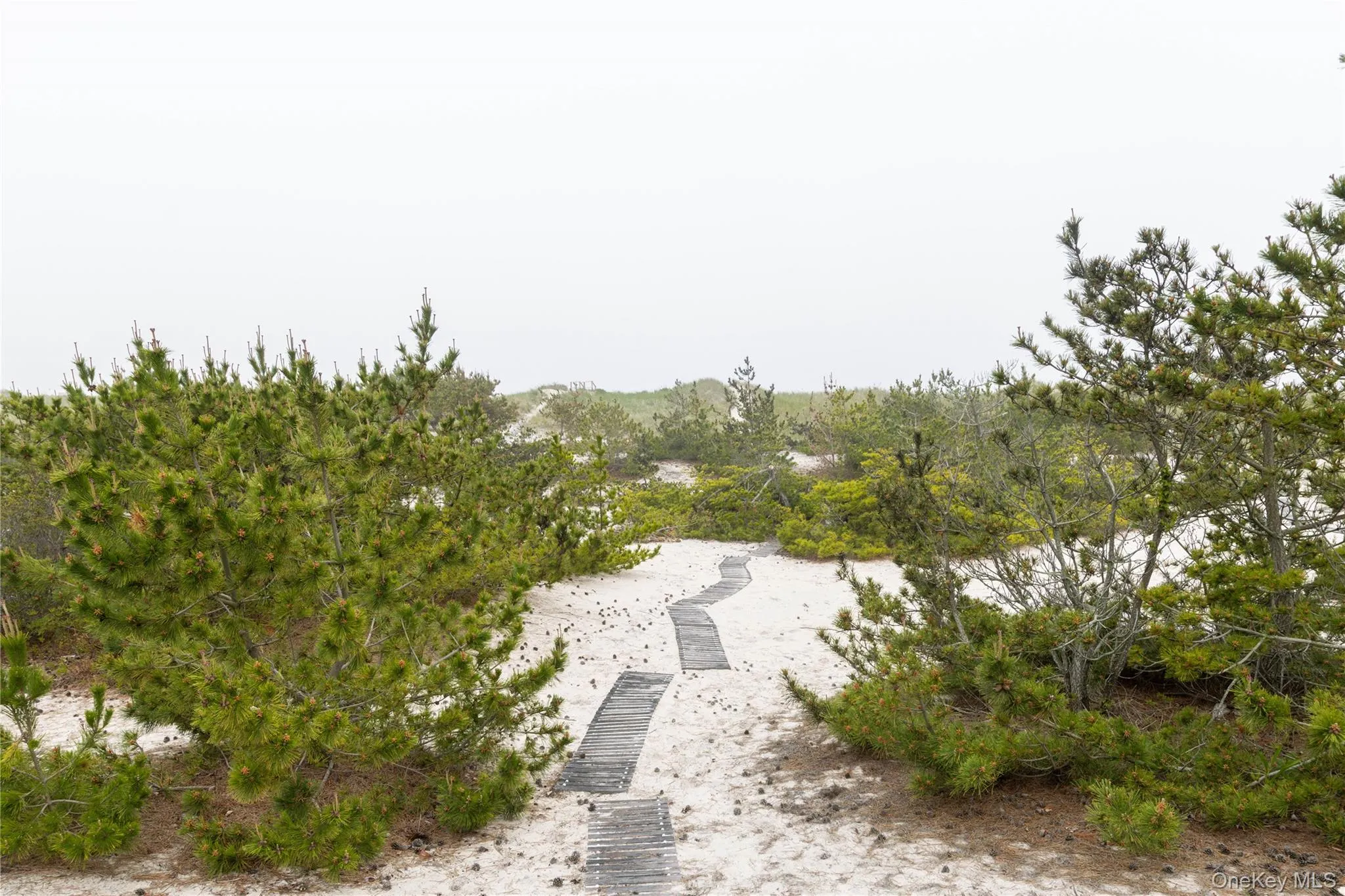 398 Dune Road, Southampton, NY, 3 Bedrooms Bedrooms, 9 Rooms Rooms,3 BathroomsBathrooms,Residential,For Rent,Dune,0,1001157 398 Dune Road, Southampton, NY, 3 Bedrooms Bedrooms, 9 Rooms Rooms,3 BathroomsBathrooms,Residential,For Rent,Dune,0,1001157