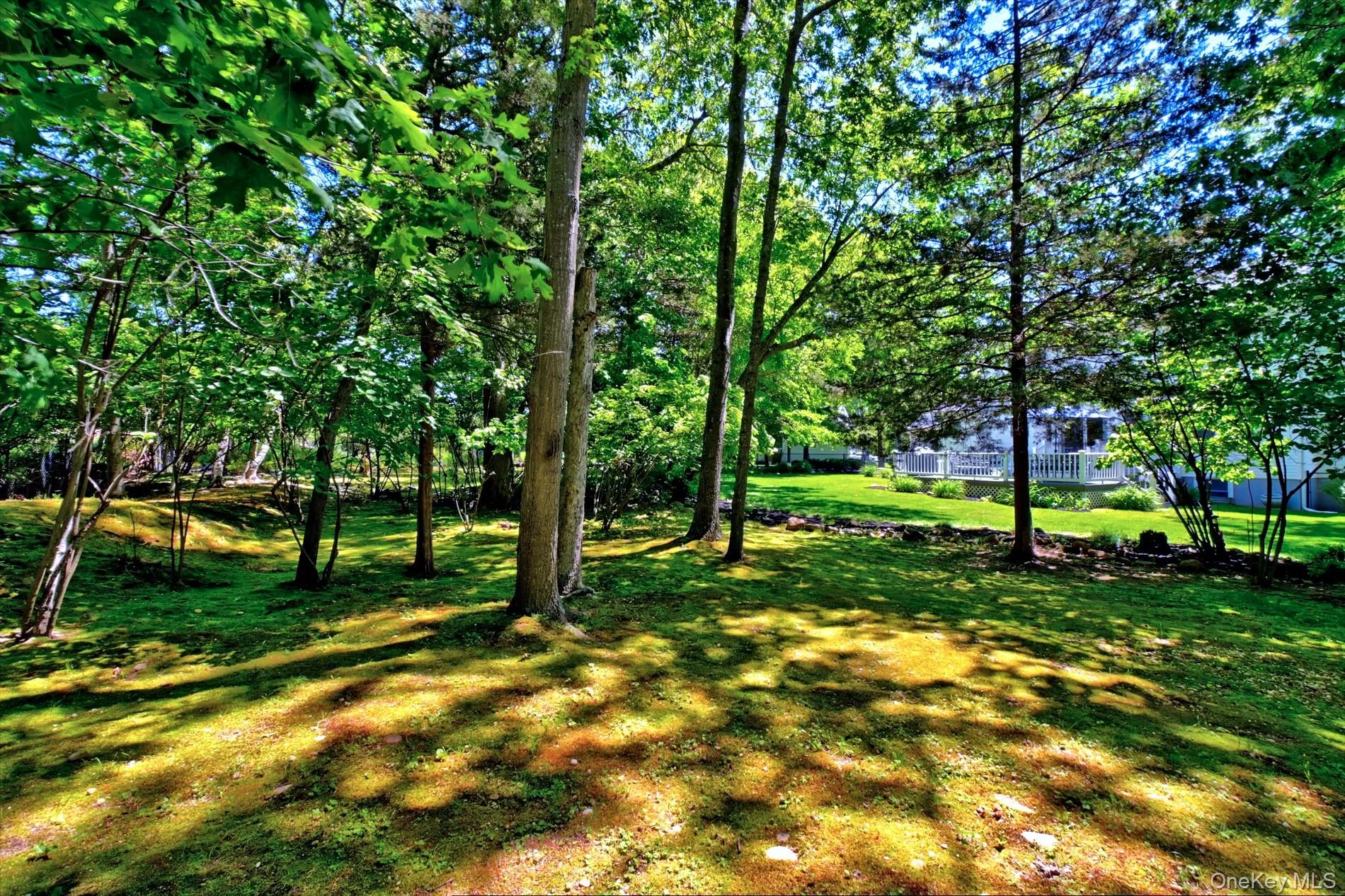 Spacious Property Over 1/2 Acre. There is a Wooded Buffer between the yard and the 17th Hole of the Rock Golf Course Spacious Property Over 1/2 Acre. There is a Wooded Buffer between the yard and the 17th Hole of the Rock Golf Course