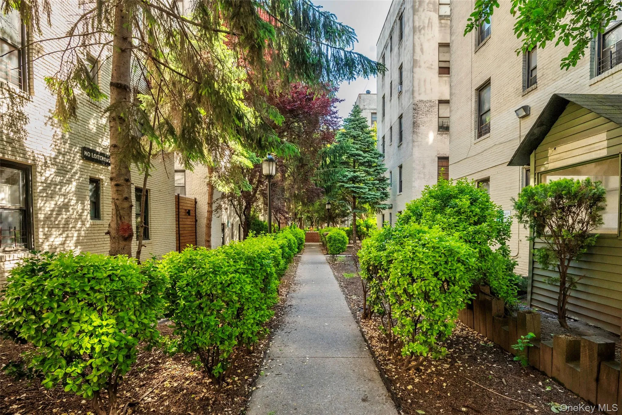 21-77 33rd Street, New York, NY, 3 Bedrooms Bedrooms, 5 Rooms Rooms,1 BathroomBathrooms,Residential,For Rent,33rd,0,1001195 21-77 33rd Street, New York, NY, 3 Bedrooms Bedrooms, 5 Rooms Rooms,1 BathroomBathrooms,Residential,For Rent,33rd,0,1001195