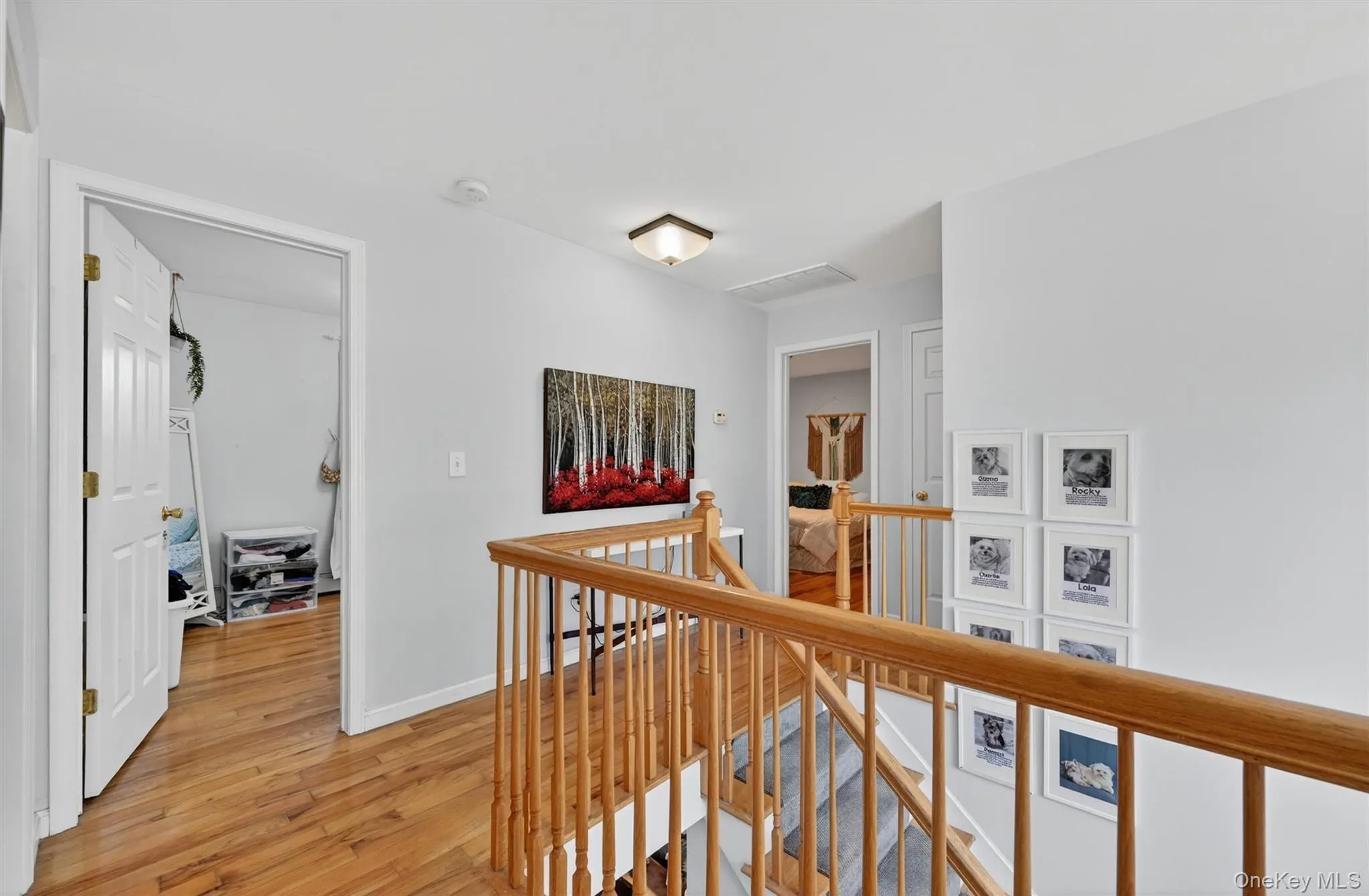 16 Willard Place, Monroe, NY, 4 Bedrooms Bedrooms, 9 Rooms Rooms,2 BathroomsBathrooms,Residential,For Rent,Willard,0,1001200 16 Willard Place, Monroe, NY, 4 Bedrooms Bedrooms, 9 Rooms Rooms,2 BathroomsBathrooms,Residential,For Rent,Willard,0,1001200