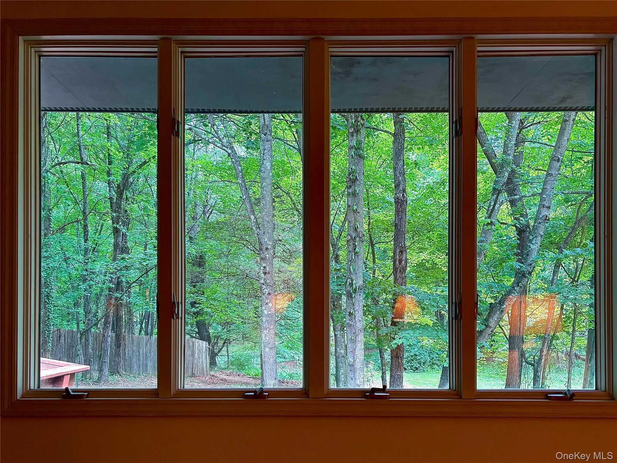Window in Living Room bringing the woods in Window in Living Room bringing the woods in