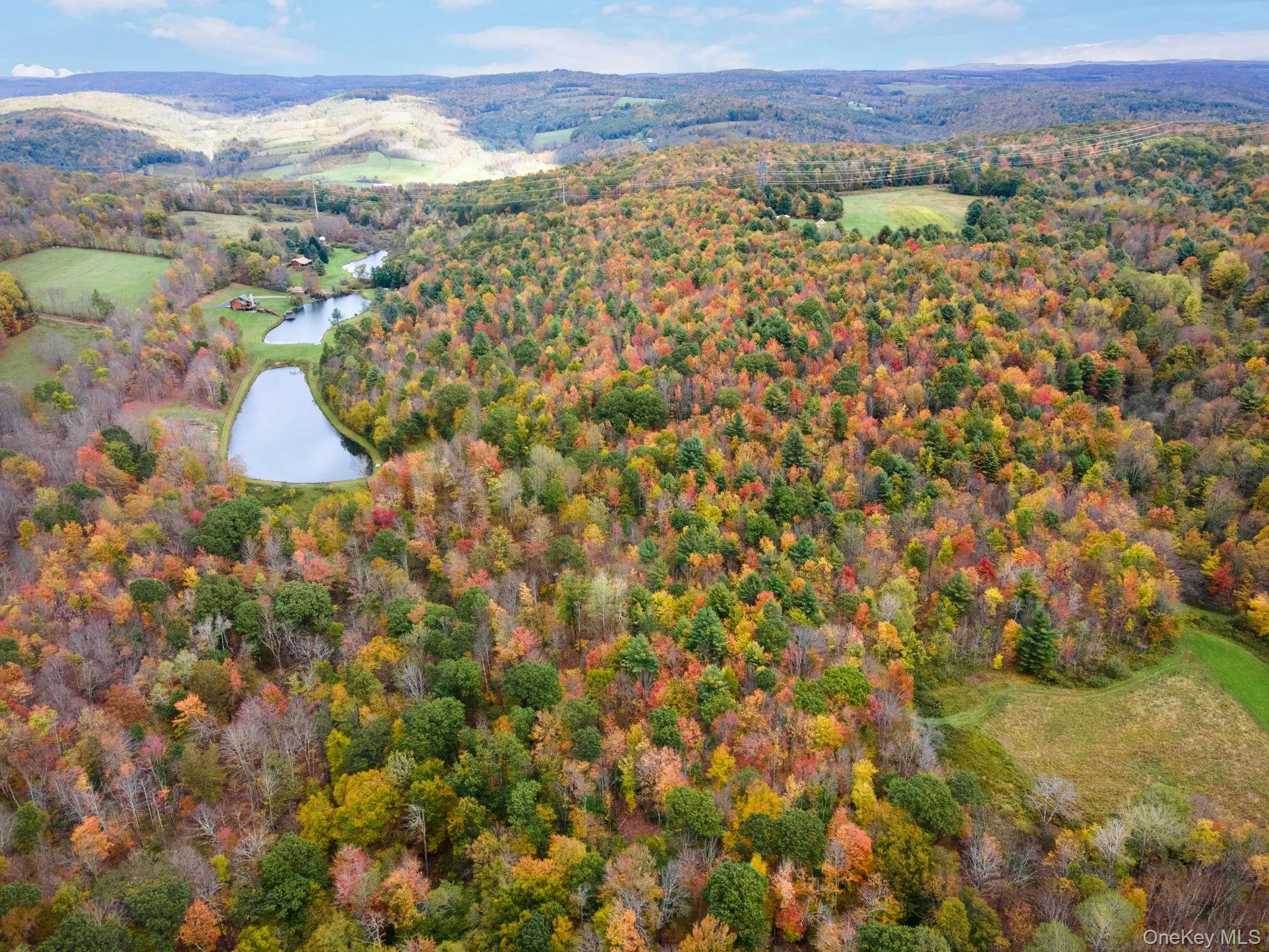 734 Post Road, Franklin, NY, 4 Bedrooms Bedrooms, 14 Rooms Rooms,3 BathroomsBathrooms,Residential Sale,For Rent,Post,0,1001269 734 Post Road, Franklin, NY, 4 Bedrooms Bedrooms, 14 Rooms Rooms,3 BathroomsBathrooms,Residential Sale,For Rent,Post,0,1001269