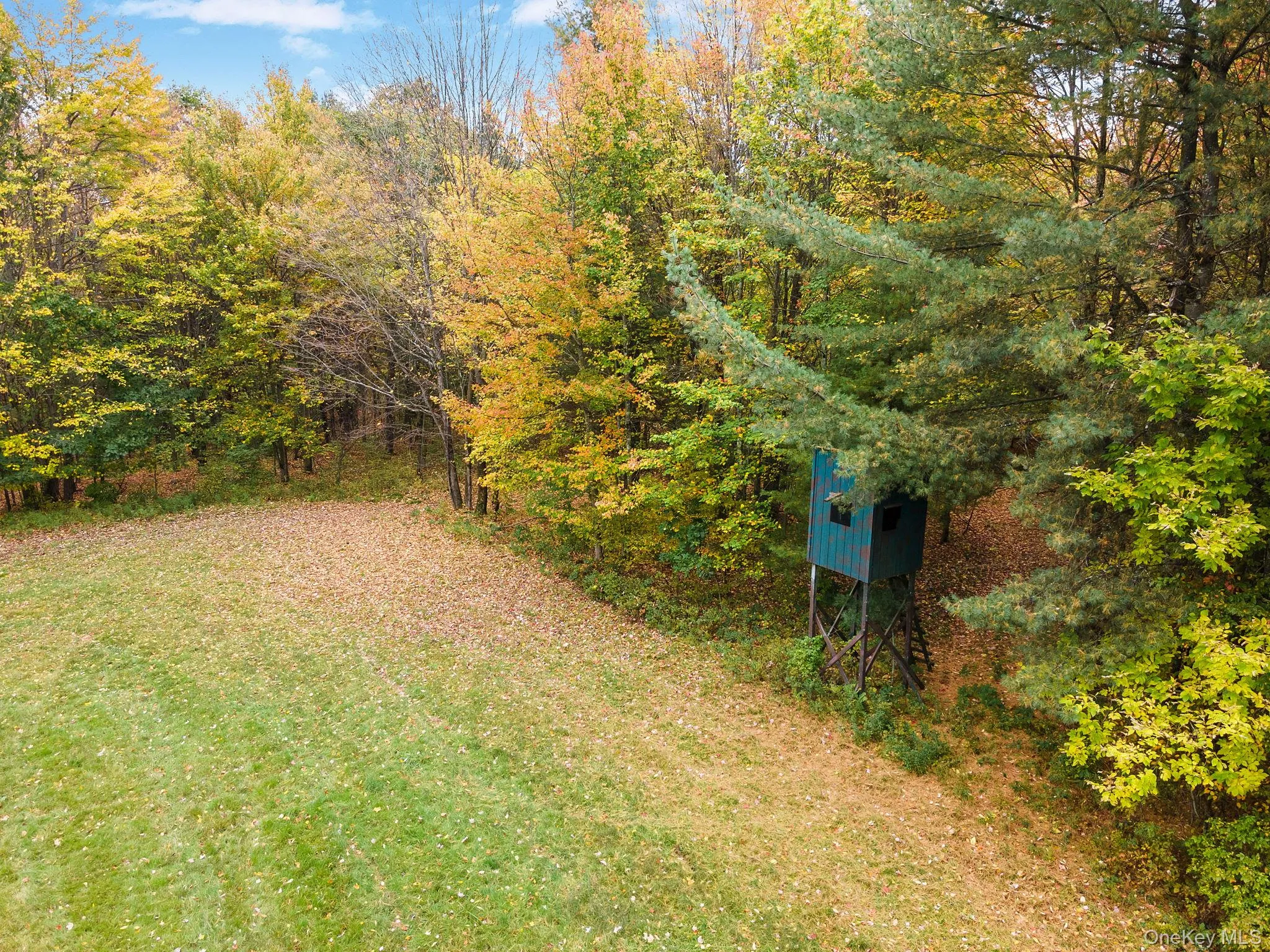 734 Post Road, Franklin, NY, 4 Bedrooms Bedrooms, 14 Rooms Rooms,3 BathroomsBathrooms,Residential Sale,For Rent,Post,0,1001269 734 Post Road, Franklin, NY, 4 Bedrooms Bedrooms, 14 Rooms Rooms,3 BathroomsBathrooms,Residential Sale,For Rent,Post,0,1001269