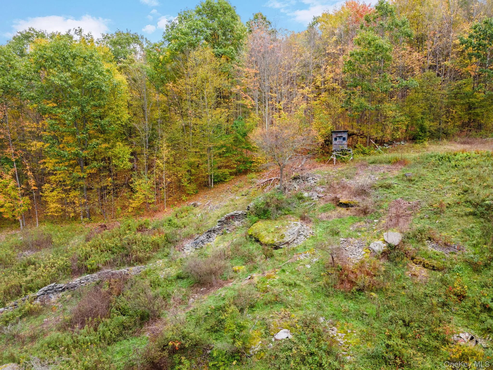 734 Post Road, Franklin, NY, 4 Bedrooms Bedrooms, 14 Rooms Rooms,3 BathroomsBathrooms,Residential Sale,For Rent,Post,0,1001269 734 Post Road, Franklin, NY, 4 Bedrooms Bedrooms, 14 Rooms Rooms,3 BathroomsBathrooms,Residential Sale,For Rent,Post,0,1001269