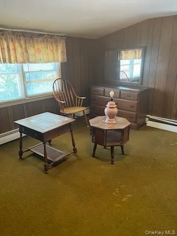 Room featuring wood paneling, wall-to-wall carpeting, and multiple windows with blinds Room featuring wood paneling, wall-to-wall carpeting, and multiple windows with blinds