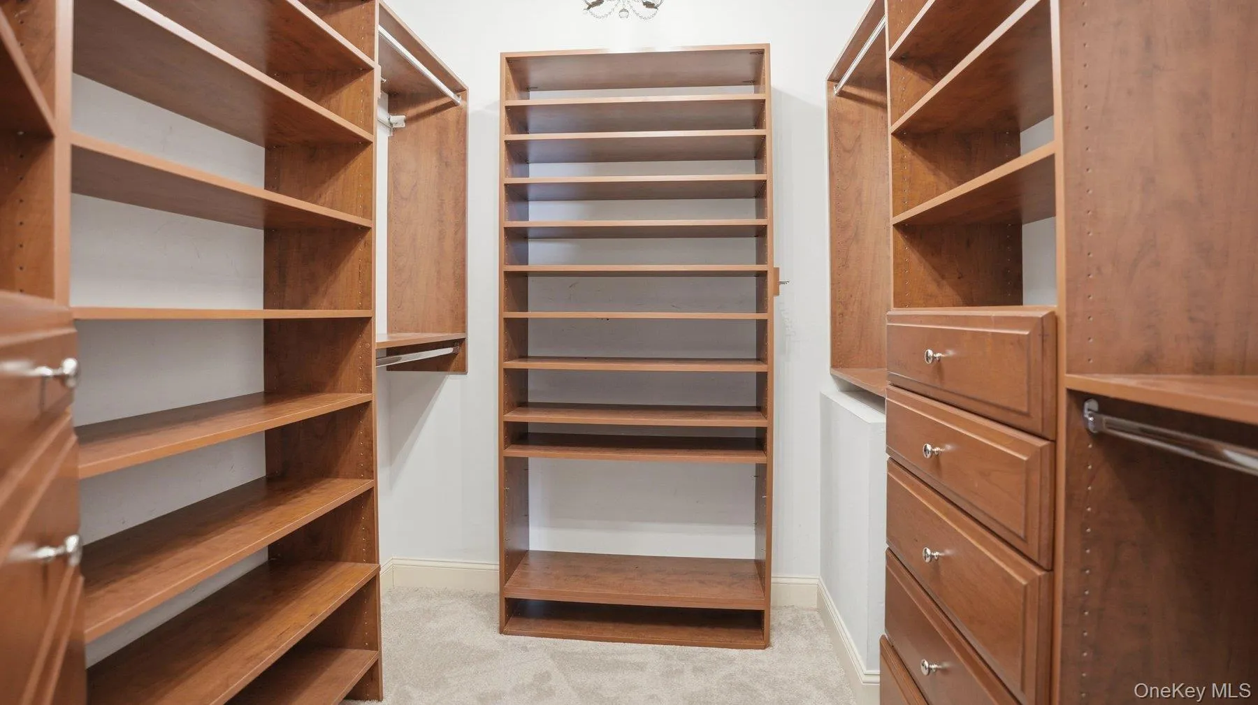 Large, Walk-in Closet Large, Walk-in Closet