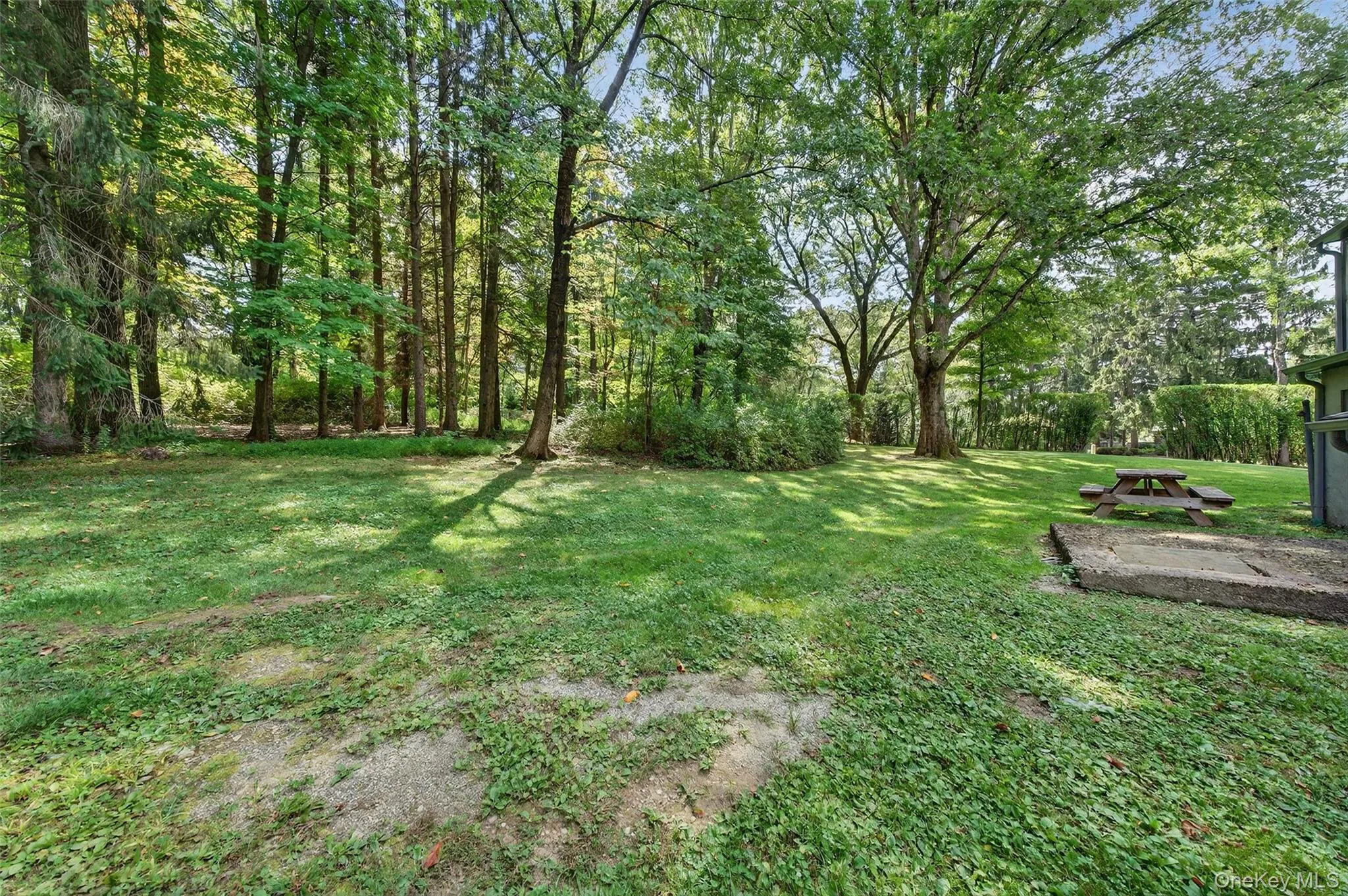 with a patio and picnic table with a patio and picnic table