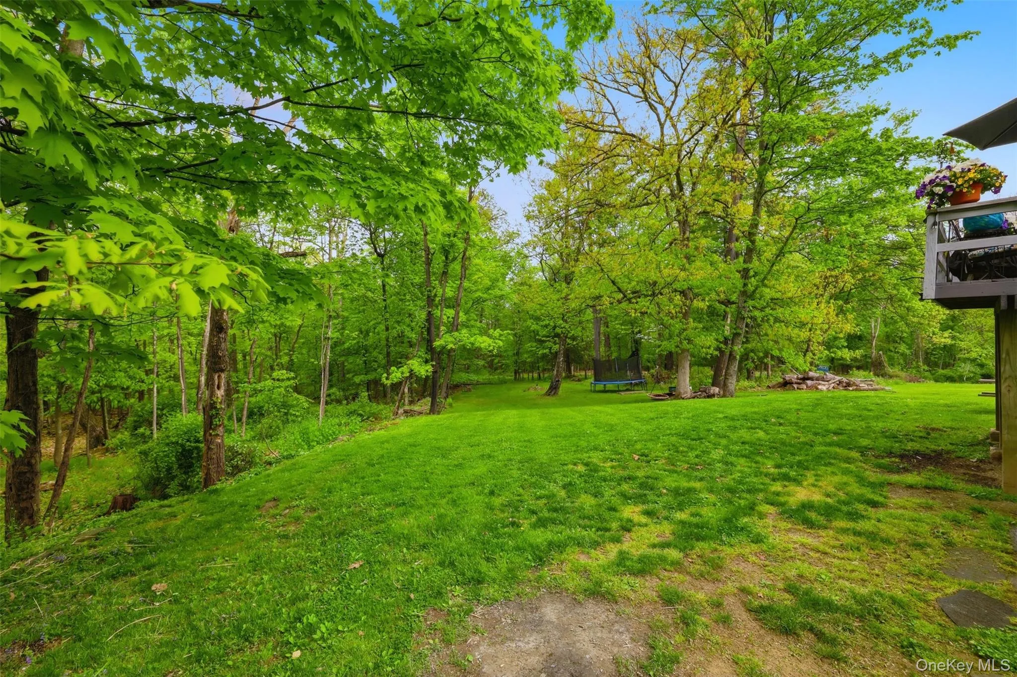 186 Cedar Hill Road, Marbletown, NY, 3 Bedrooms Bedrooms, 7 Rooms Rooms,2 BathroomsBathrooms,Residential,For Rent,Cedar Hill,0,KEY1001402 186 Cedar Hill Road, Marbletown, NY, 3 Bedrooms Bedrooms, 7 Rooms Rooms,2 BathroomsBathrooms,Residential,For Rent,Cedar Hill,0,KEY1001402