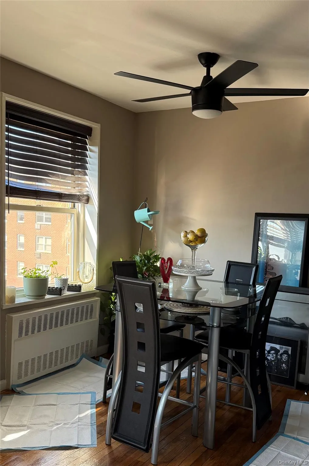 20 Wendell Street, Hempstead, NY, 1 Bedroom Bedrooms, 4 Rooms Rooms,1 BathroomBathrooms,Residential Sale,For Rent,Wendell,0,1001428 20 Wendell Street, Hempstead, NY, 1 Bedroom Bedrooms, 4 Rooms Rooms,1 BathroomBathrooms,Residential Sale,For Rent,Wendell,0,1001428