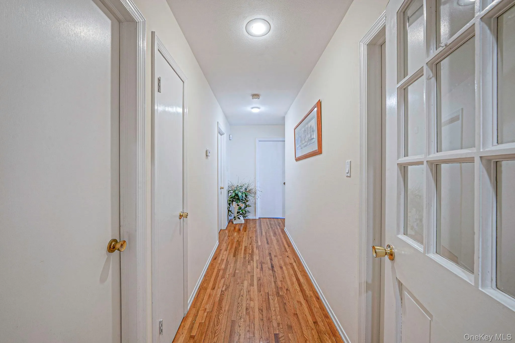 2 Rainbow Lane, Brookhaven, NY, 4 Bedrooms Bedrooms, 9 Rooms Rooms,3 BathroomsBathrooms,Residential,For Rent,Rainbow,0,1001446 2 Rainbow Lane, Brookhaven, NY, 4 Bedrooms Bedrooms, 9 Rooms Rooms,3 BathroomsBathrooms,Residential,For Rent,Rainbow,0,1001446