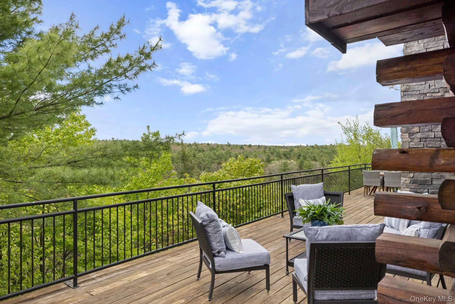 Soar with the Eagles over Tree Topped Panoramic Views Soar with the Eagles over Tree Topped Panoramic Views