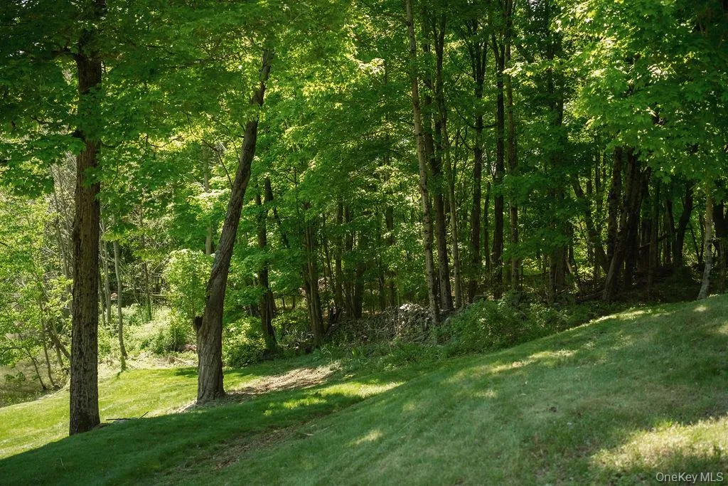 78 Rymph Road, Clinton, NY, 3 Bedrooms Bedrooms, 7 Rooms Rooms,3 BathroomsBathrooms,Residential,For Rent,Rymph,0,1001481 78 Rymph Road, Clinton, NY, 3 Bedrooms Bedrooms, 7 Rooms Rooms,3 BathroomsBathrooms,Residential,For Rent,Rymph,0,1001481